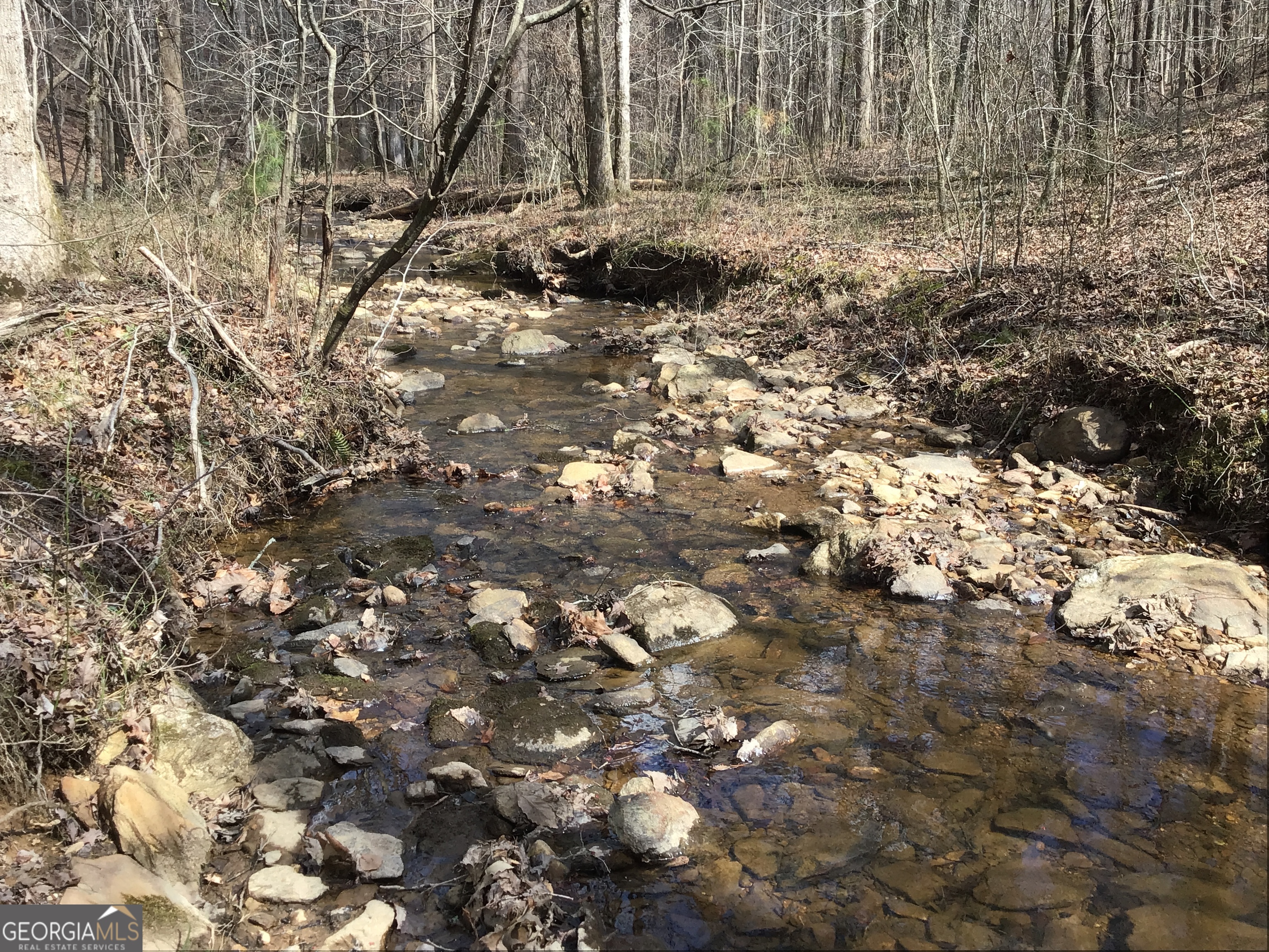 0 Johnson Mountain Road, Unit 7402 Fairmount, GA 30139 - Photo 27 of 46 a backyard of a house