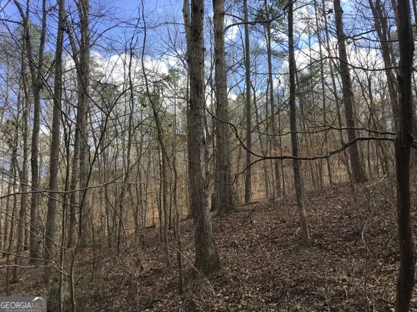 $4,164,160 | 0 Johnson Mountain Road, Unit 7402, Fairmount, GA 30139