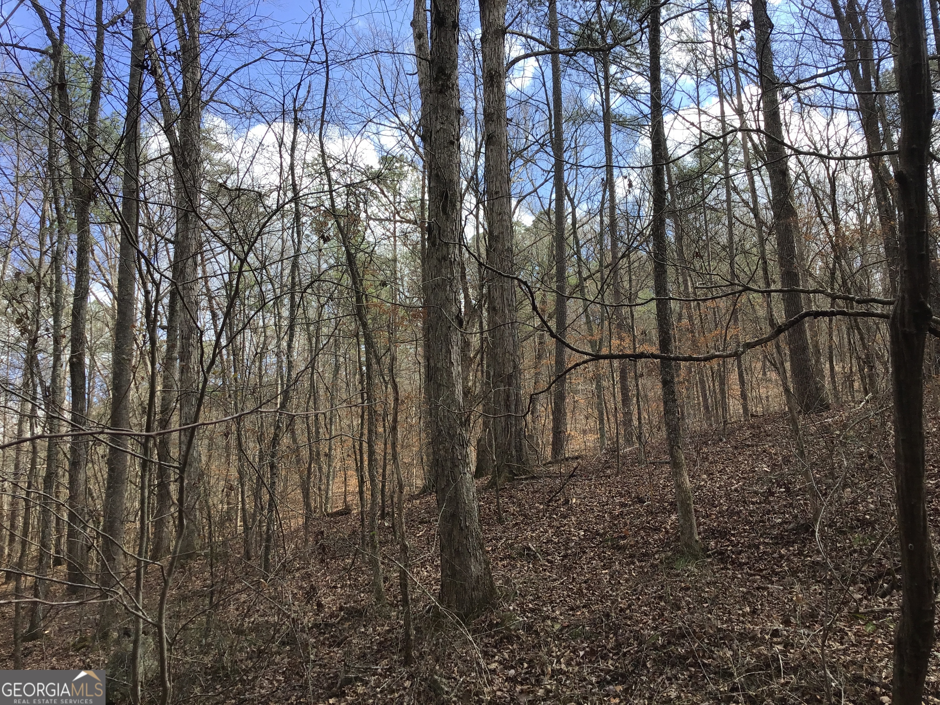 0 Johnson Mountain Road, Unit 7402 Fairmount, GA 30139 - Photo 28 of 46 a backyard of a house with lots of green space
