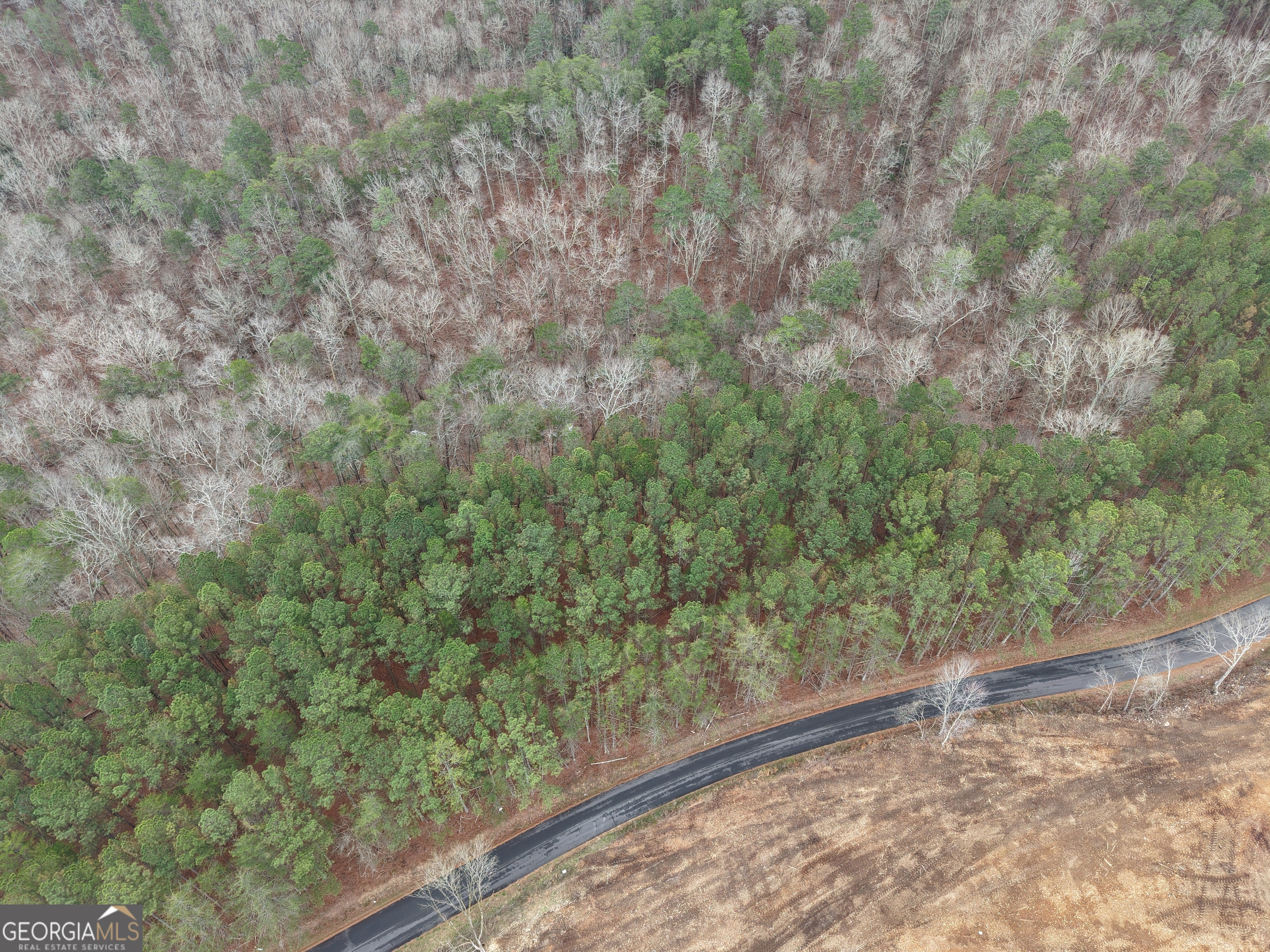 0 Johnson Mountain Road, Unit 7402 Fairmount, GA 30139 - Photo 29 of 46 a view of a yard with a tree