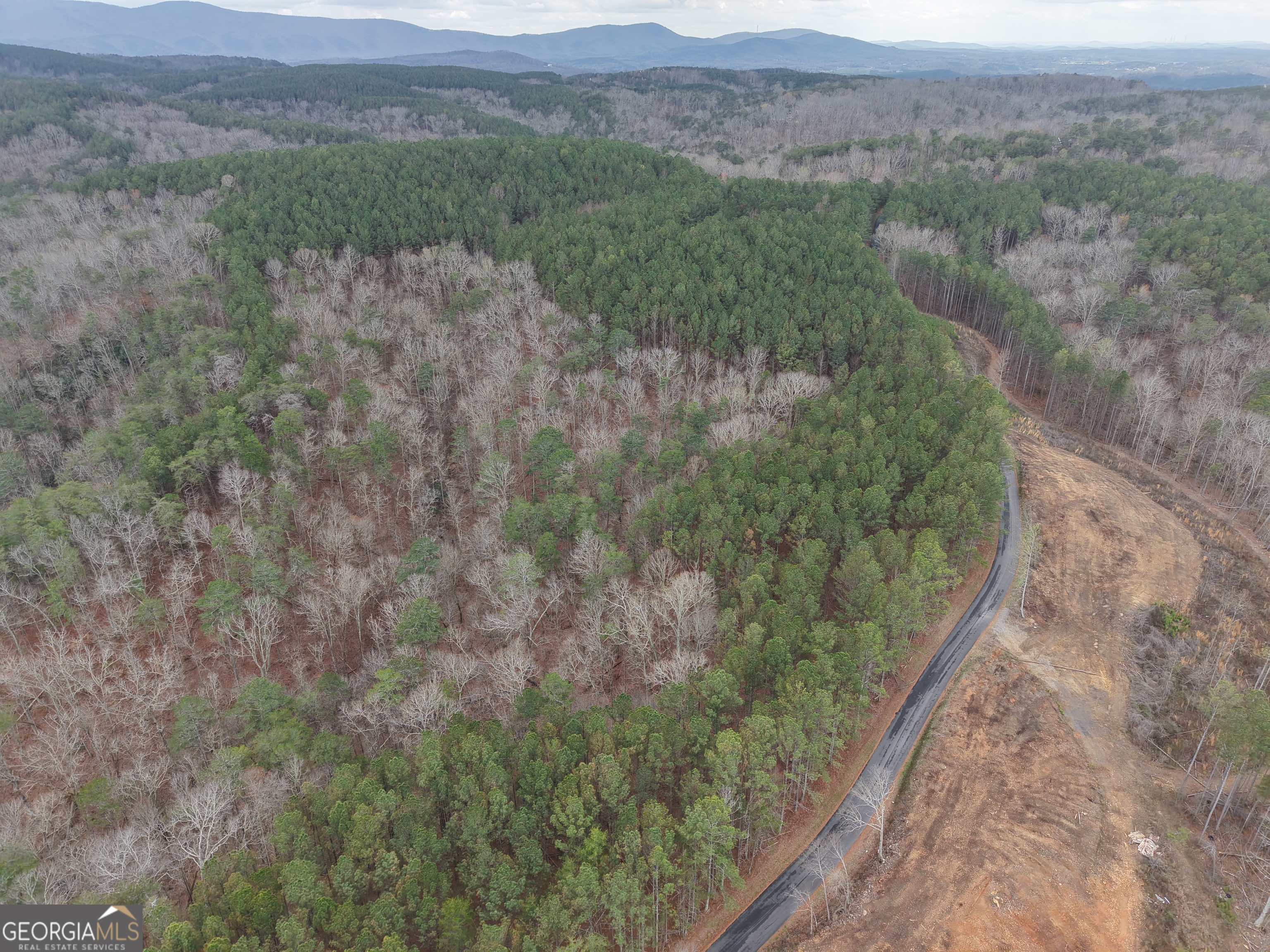 0 Johnson Mountain Road, Unit 7402 Fairmount, GA 30139 - Photo 30 of 46 a view of a lush green hillside and a mountain