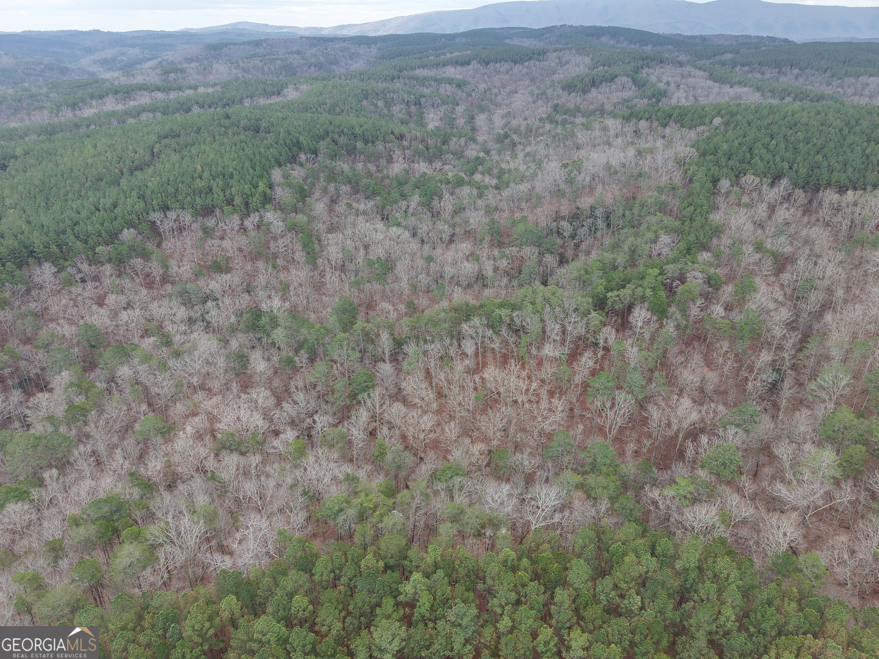 0 Johnson Mountain Road, Unit 7402 Fairmount, GA 30139 - Photo 31 of 46 a view of a field of grass and trees