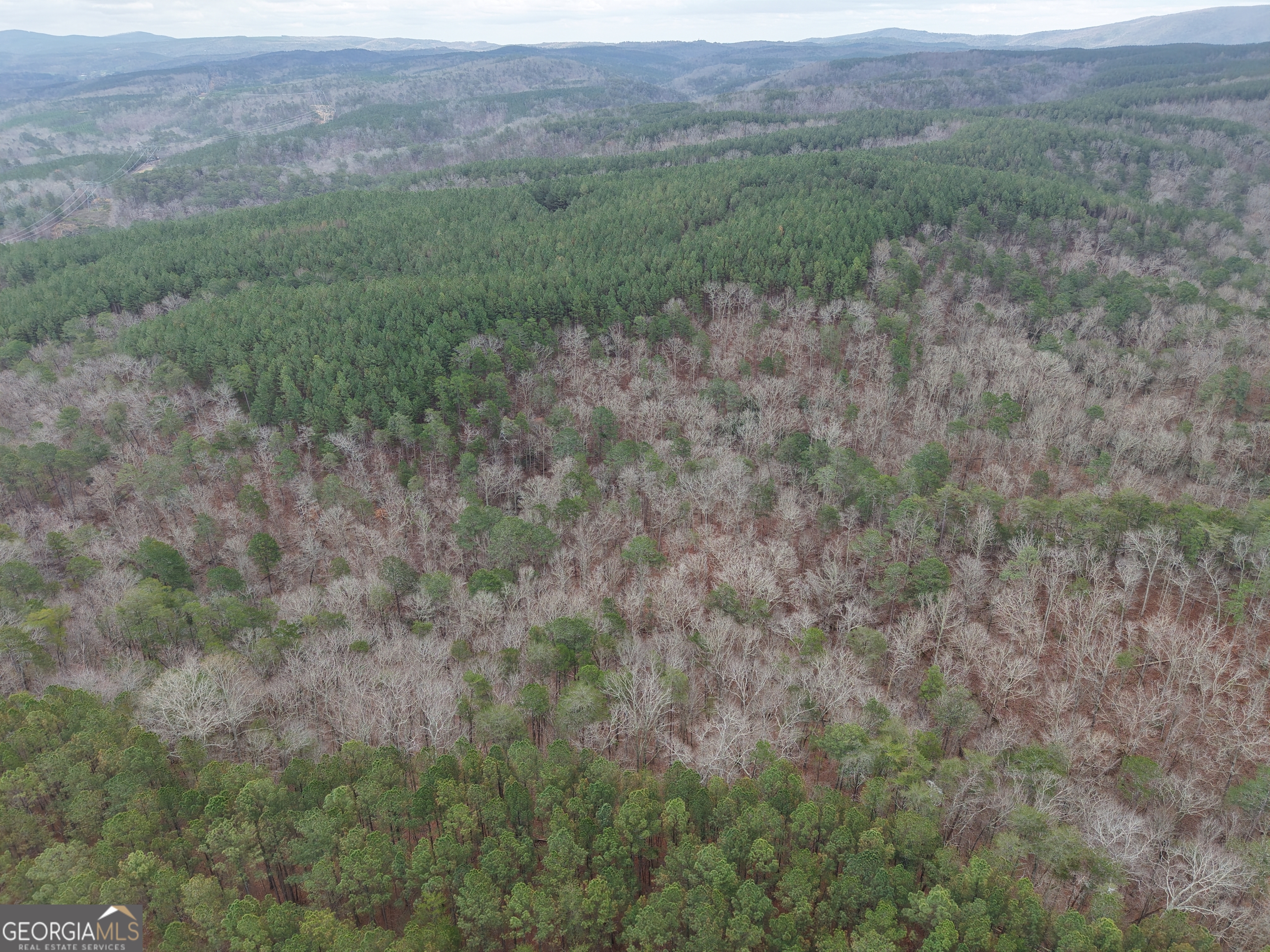 0 Johnson Mountain Road, Unit 7402 Fairmount, GA 30139 - Photo 32 of 46 a view of a big yard with lots of green space and deers