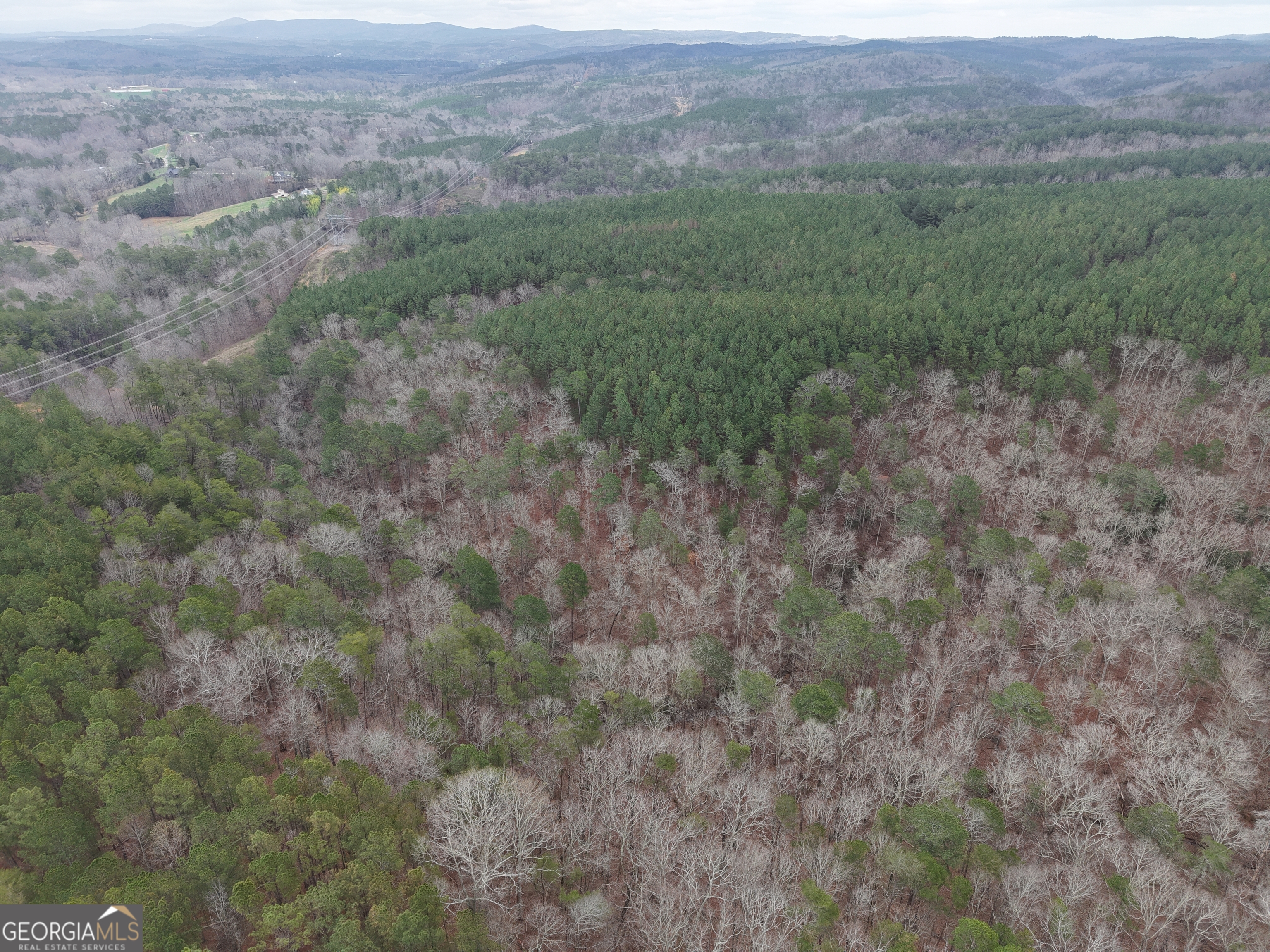 0 Johnson Mountain Road, Unit 7402 Fairmount, GA 30139 - Photo 35 of 46 a view of a field with trees in background