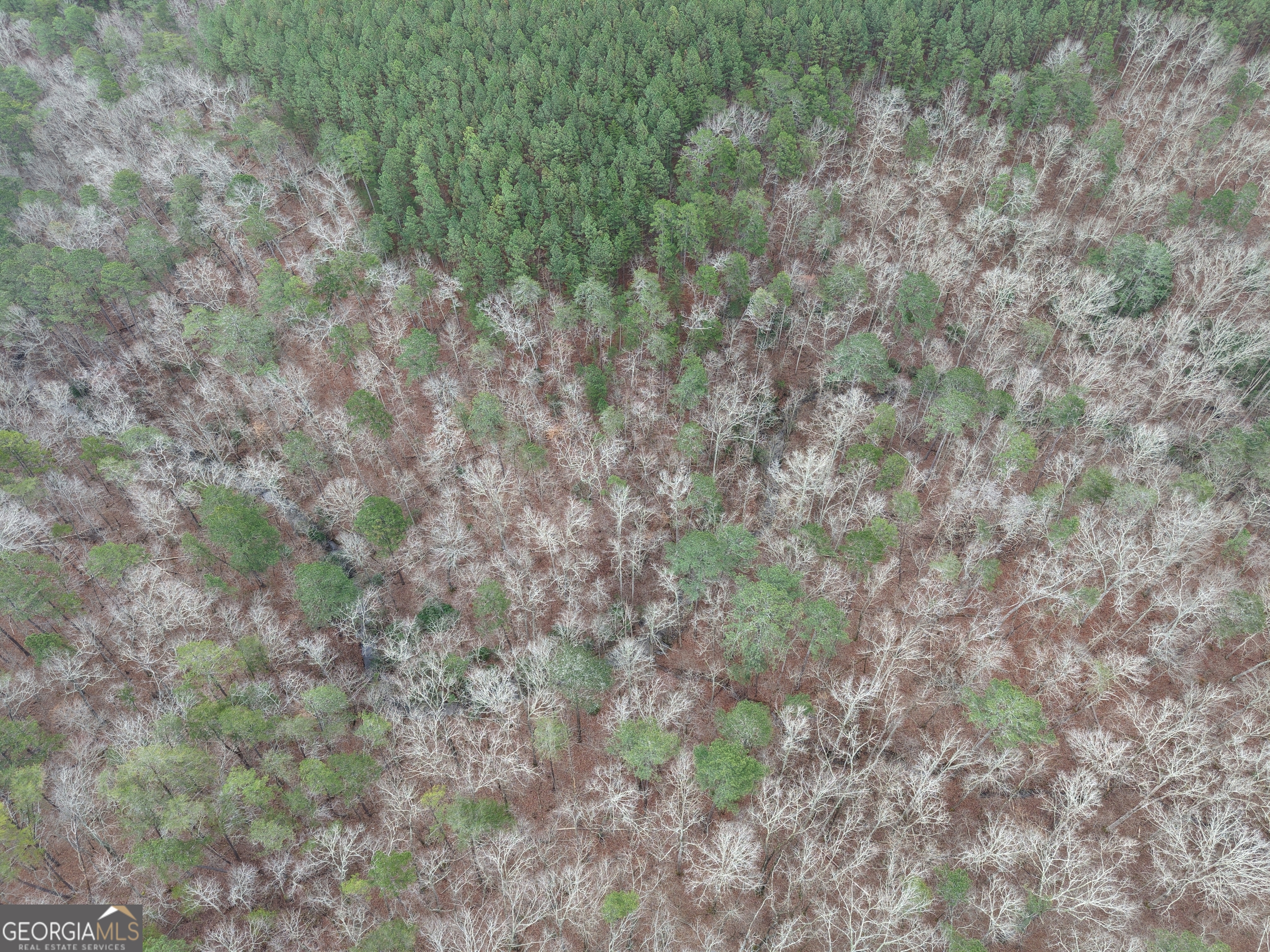 0 Johnson Mountain Road, Unit 7402 Fairmount, GA 30139 - Photo 36 of 46