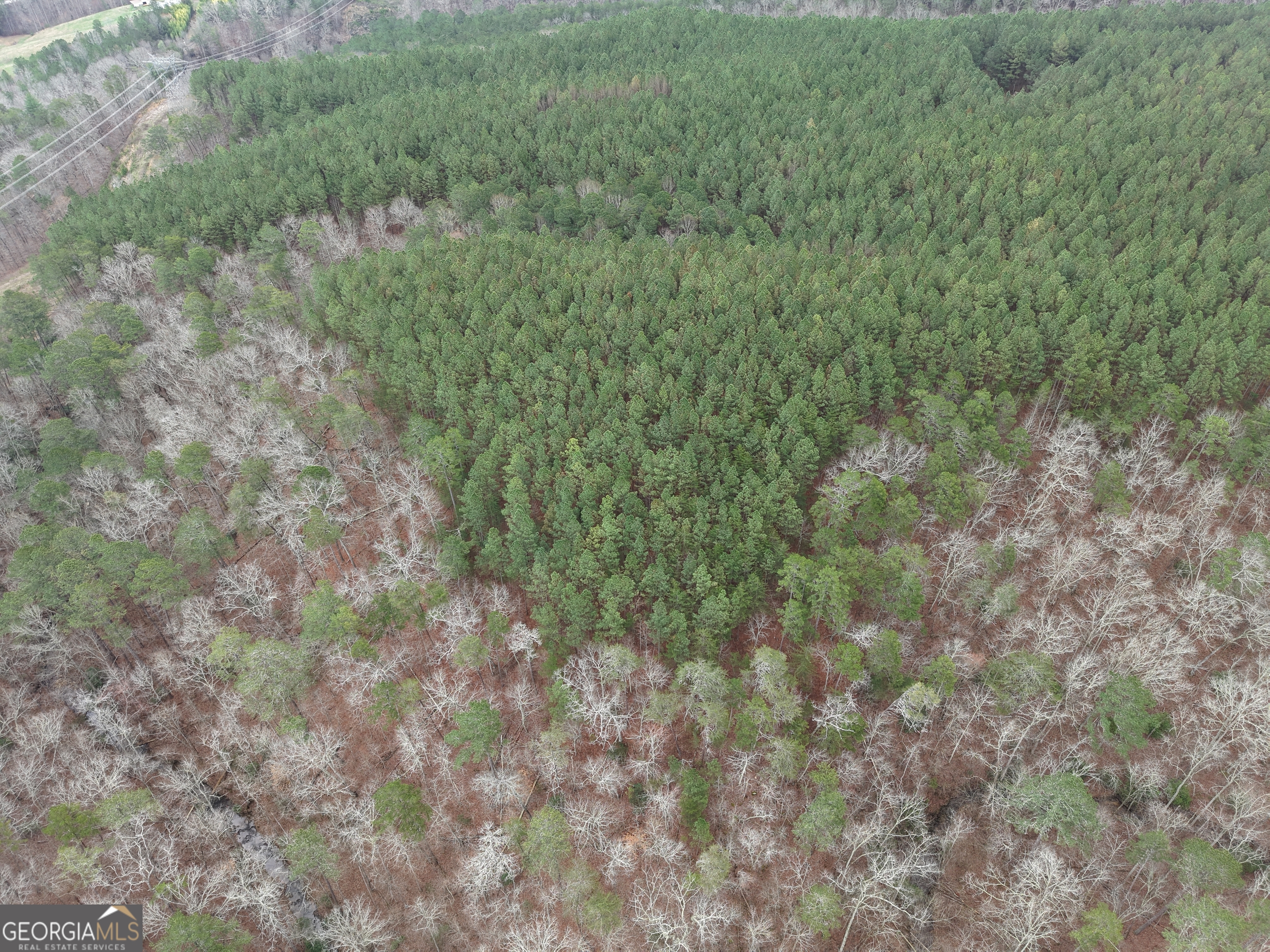 0 Johnson Mountain Road, Unit 7402 Fairmount, GA 30139 - Photo 37 of 46 a view of a field of grass and trees