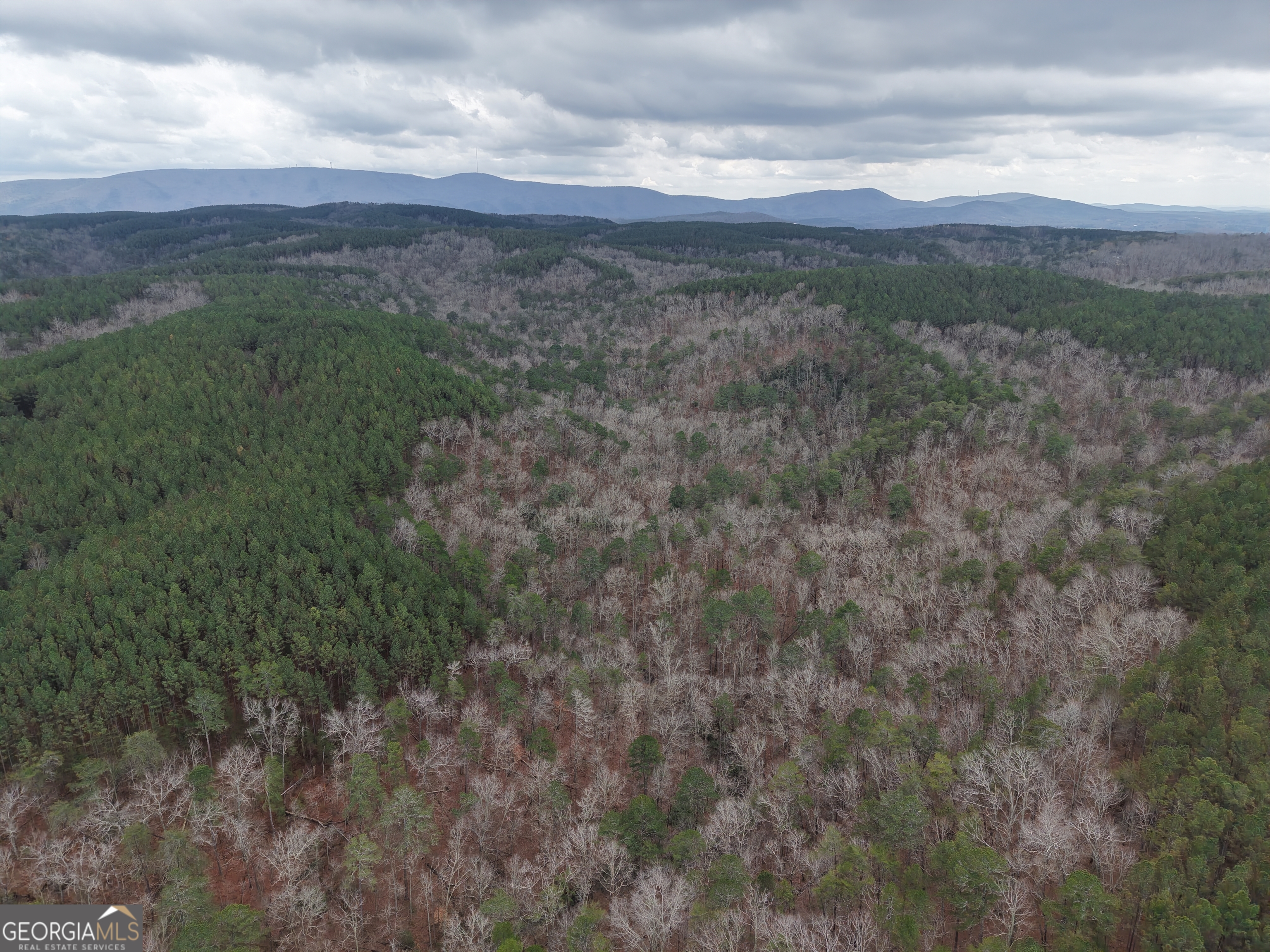 0 Johnson Mountain Road, Unit 7402 Fairmount, GA 30139 - Photo 39 of 46 a view of a lush green forest with lots of trees
