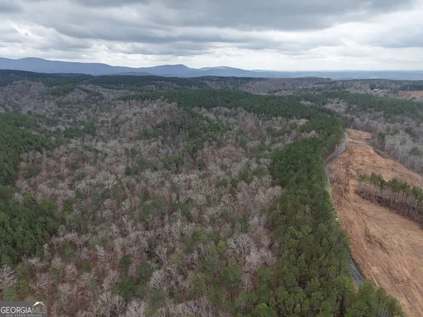 $4,164,160 | 0 Johnson Mountain Road, Unit 7402, Fairmount, GA 30139