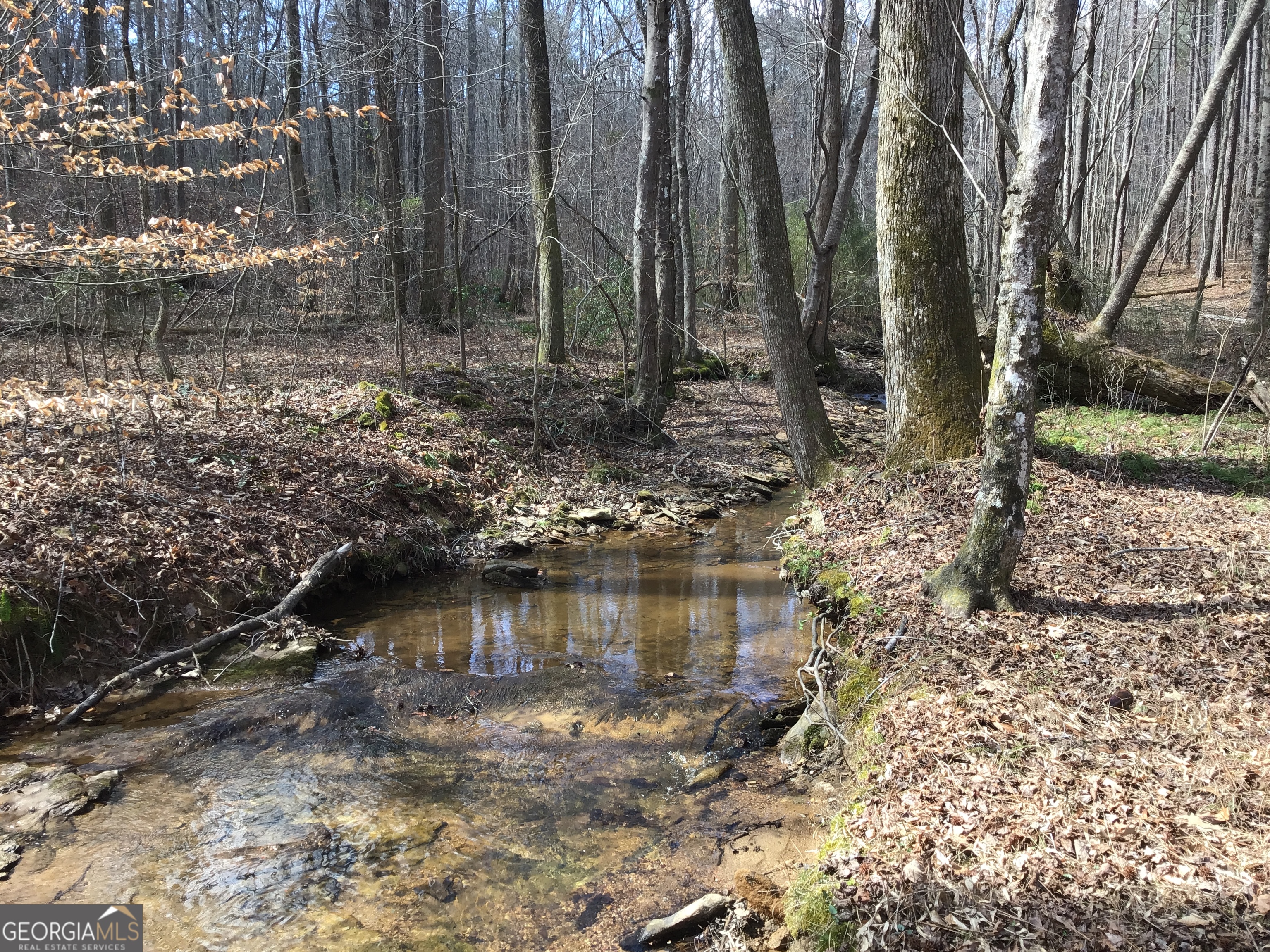 0 Johnson Mountain Road, Unit 7402 Fairmount, GA 30139 - Photo 4 of 46 a view of a lake with trees