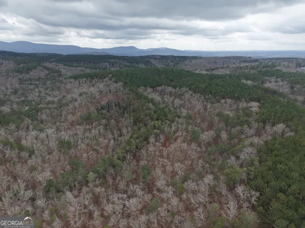 $4,164,160 | 0 Johnson Mountain Road, Unit 7402, Fairmount, GA 30139