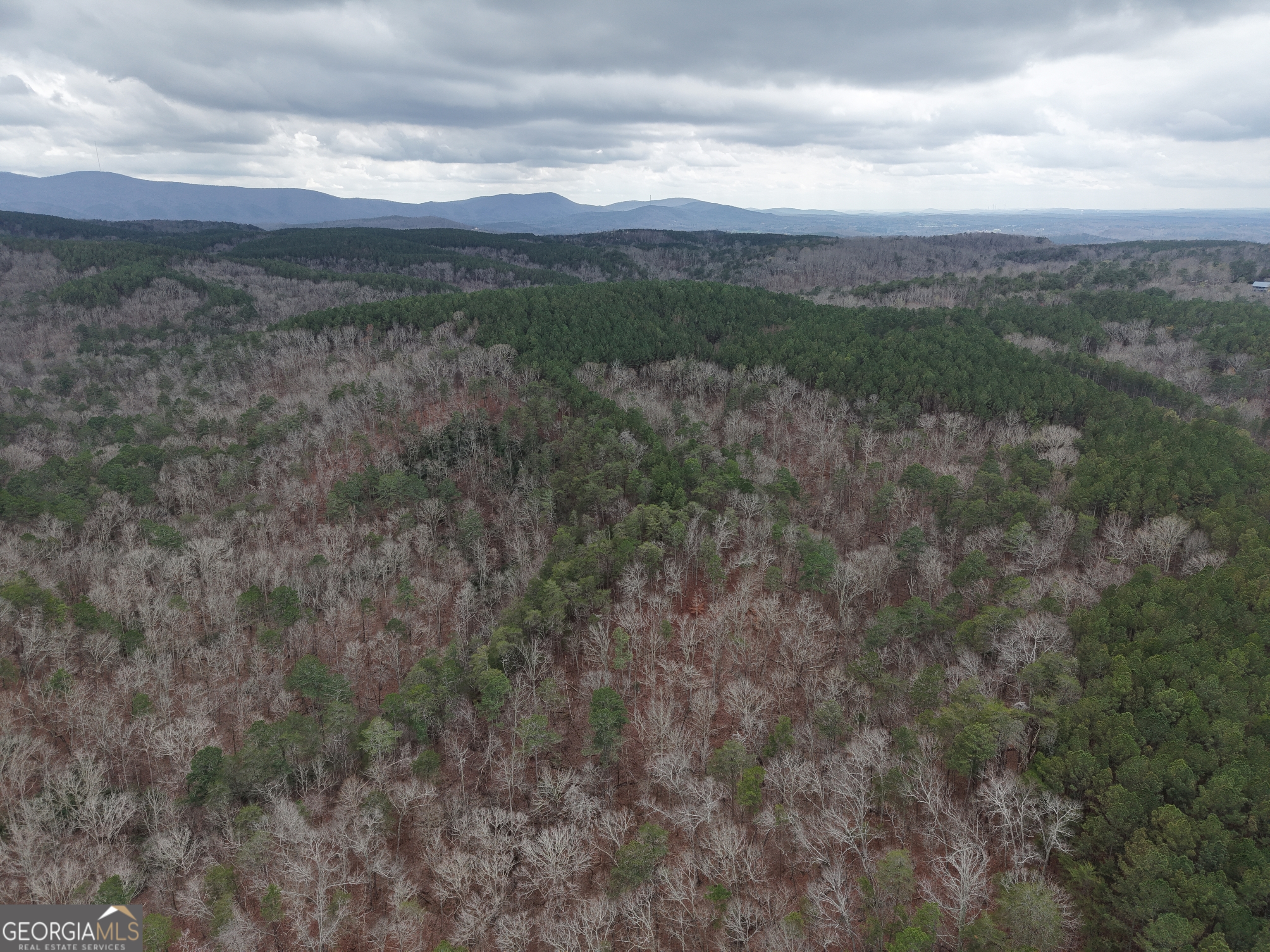0 Johnson Mountain Road, Unit 7402 Fairmount, GA 30139 - Photo 41 of 46 a view of a city with lush green forest