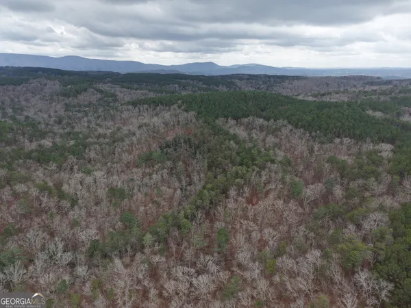 $4,164,160 | 0 Johnson Mountain Road, Unit 7402, Fairmount, GA 30139