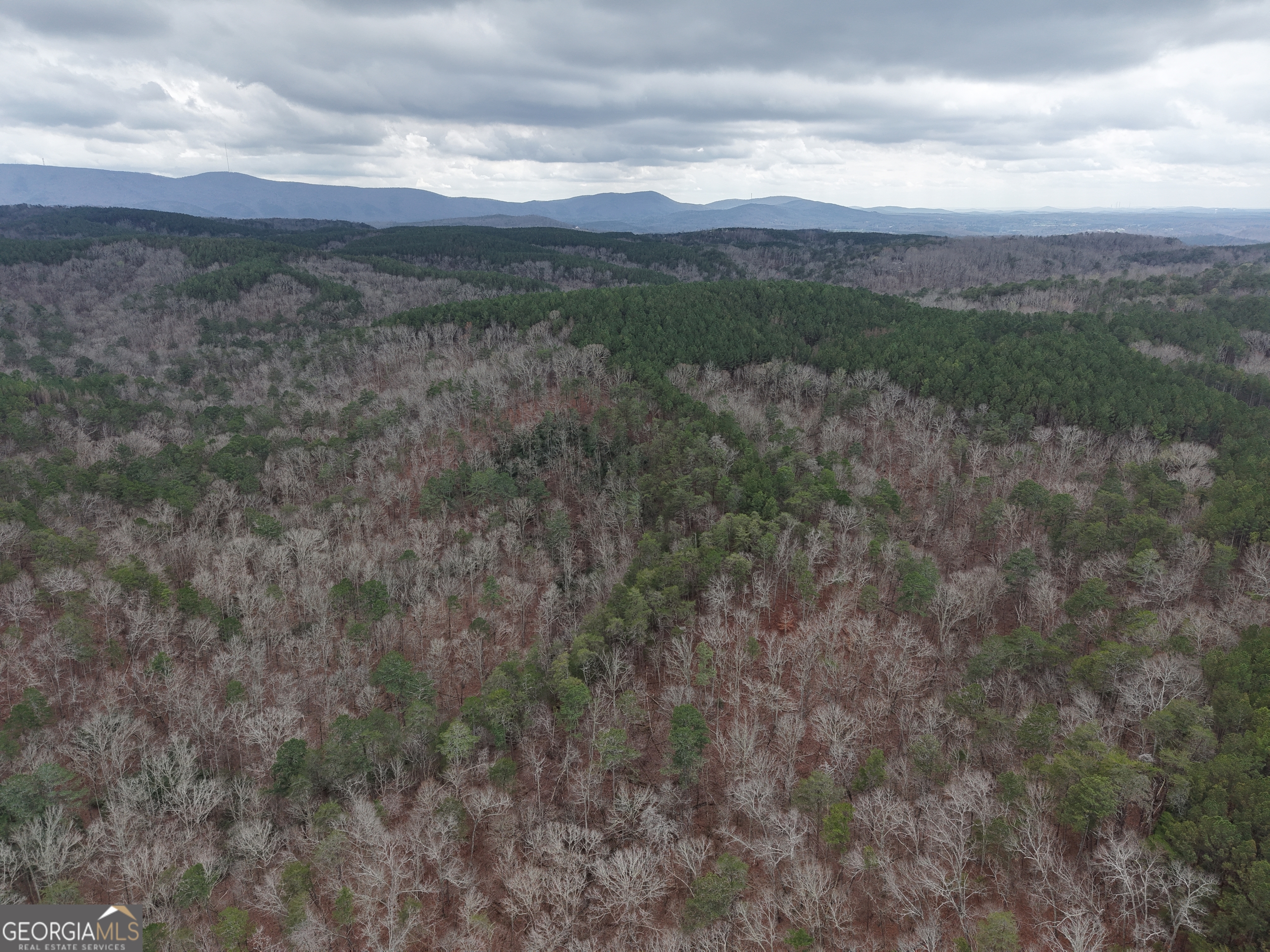 0 Johnson Mountain Road, Unit 7402 Fairmount, GA 30139 - Photo 42 of 46