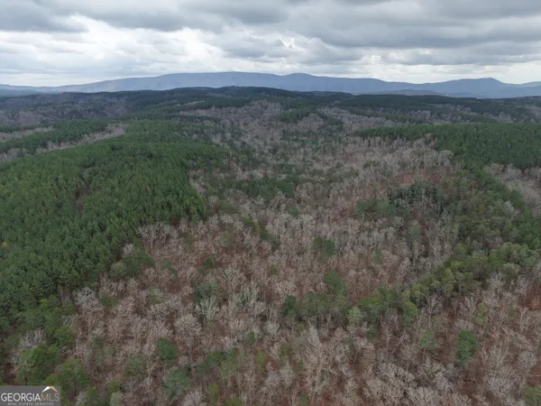 $4,164,160 | 0 Johnson Mountain Road, Unit 7402, Fairmount, GA 30139