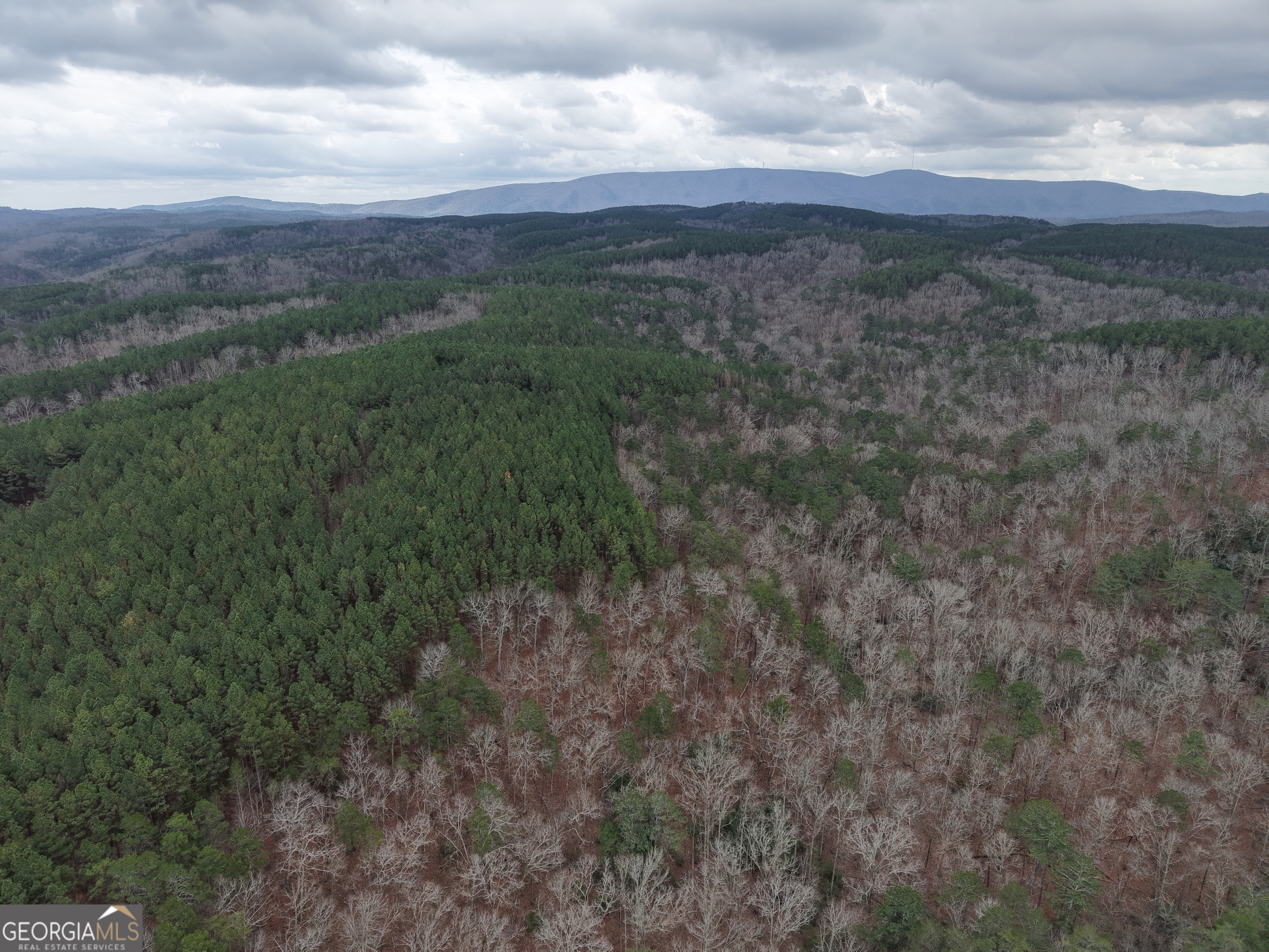 0 Johnson Mountain Road, Unit 7402 Fairmount, GA 30139 - Photo 44 of 46 a view of a lush green forest with lots of trees