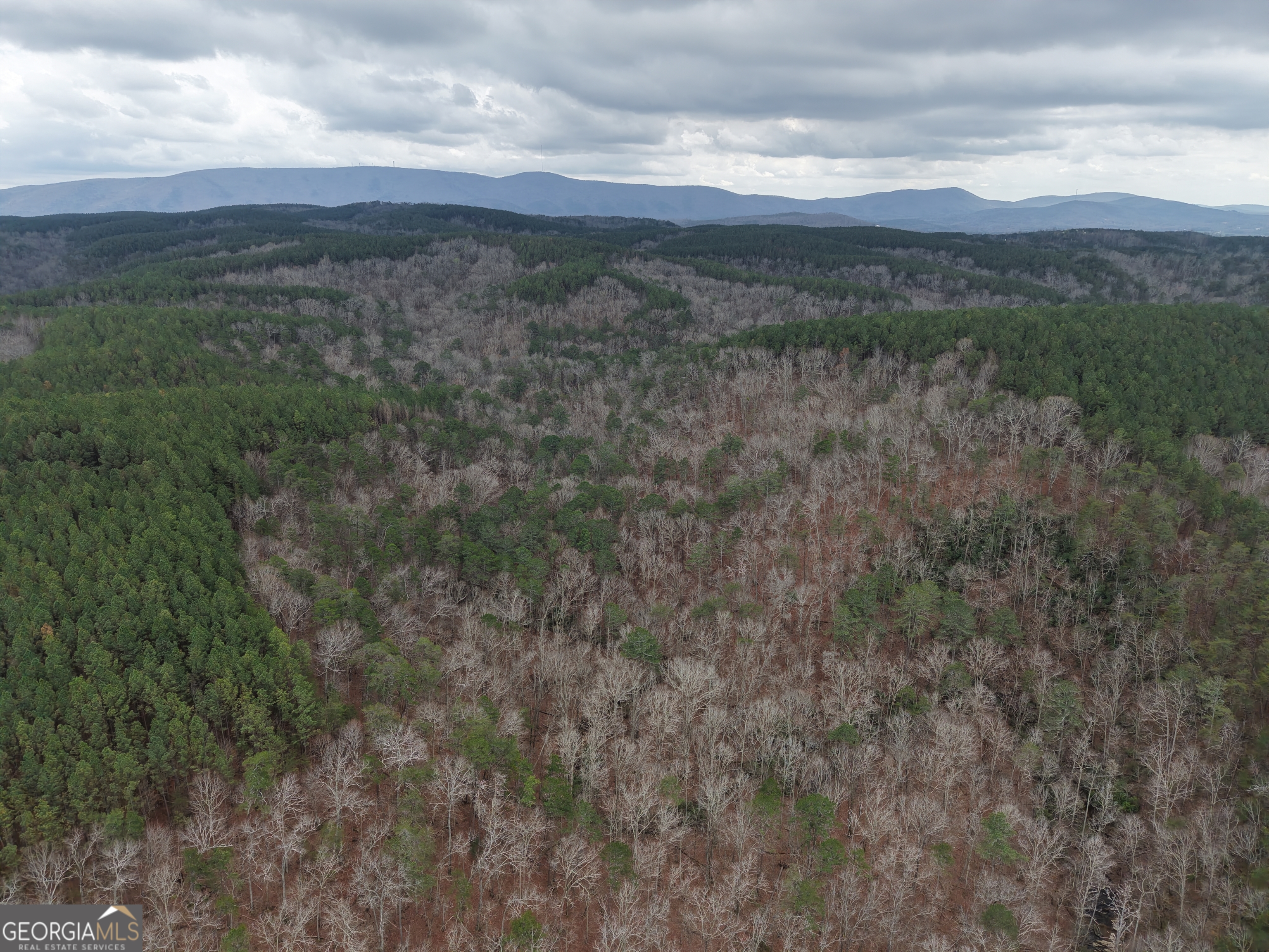 0 Johnson Mountain Road, Unit 7402 Fairmount, GA 30139 - Photo 46 of 46 a view of an outdoor space with mountain view