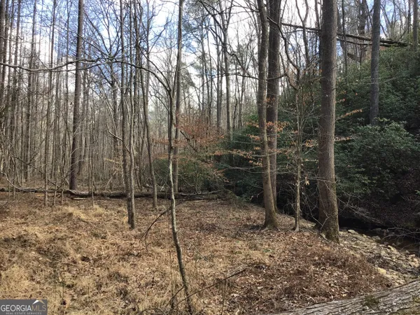 $4,164,160 | 0 Johnson Mountain Road, Unit 7402, Fairmount, GA 30139