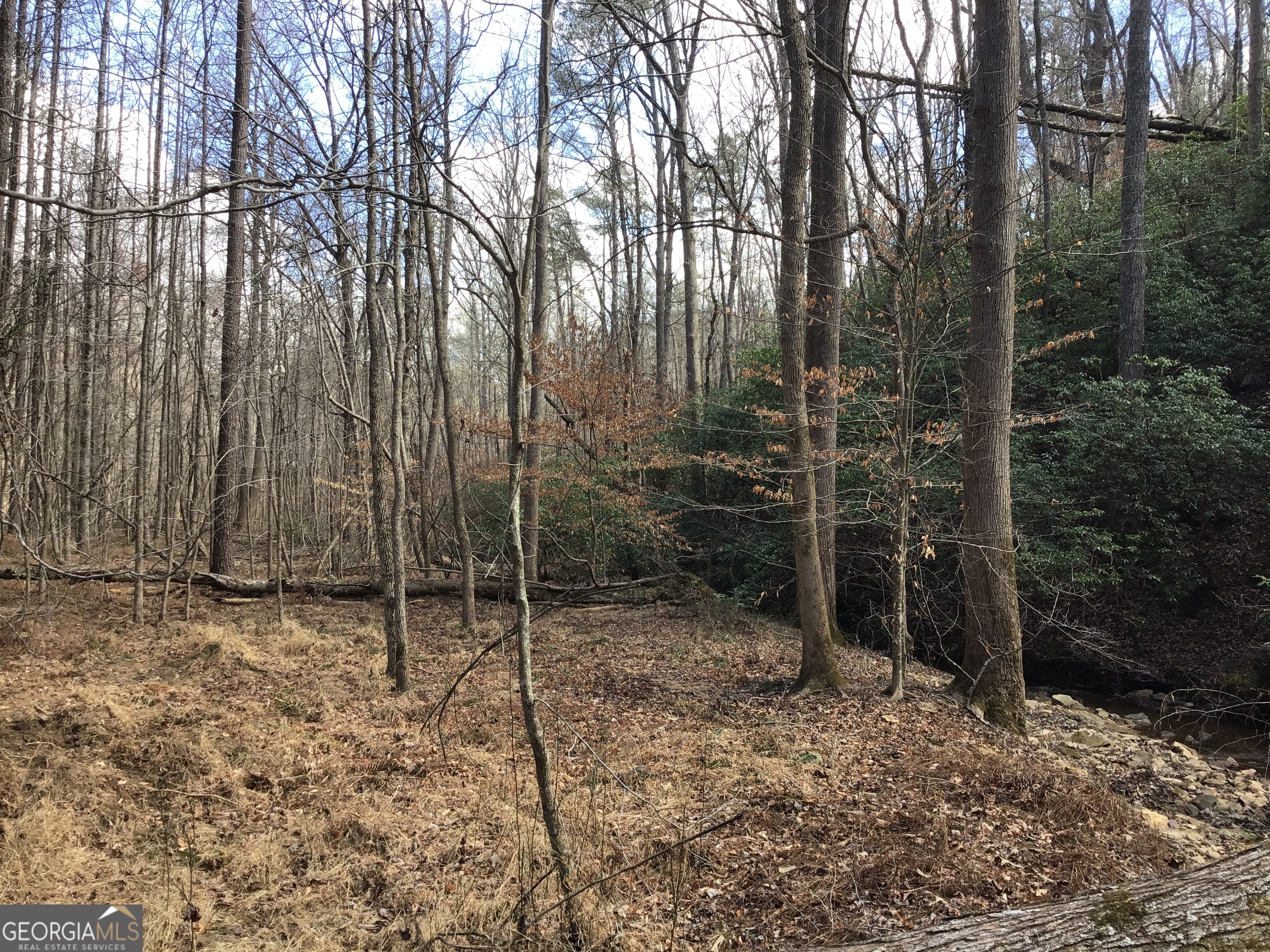 0 Johnson Mountain Road, Unit 7402 Fairmount, GA 30139 - Photo 5 of 46 a backyard of a house with lots of green space