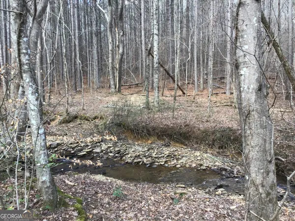 $4,164,160 | 0 Johnson Mountain Road, Unit 7402, Fairmount, GA 30139