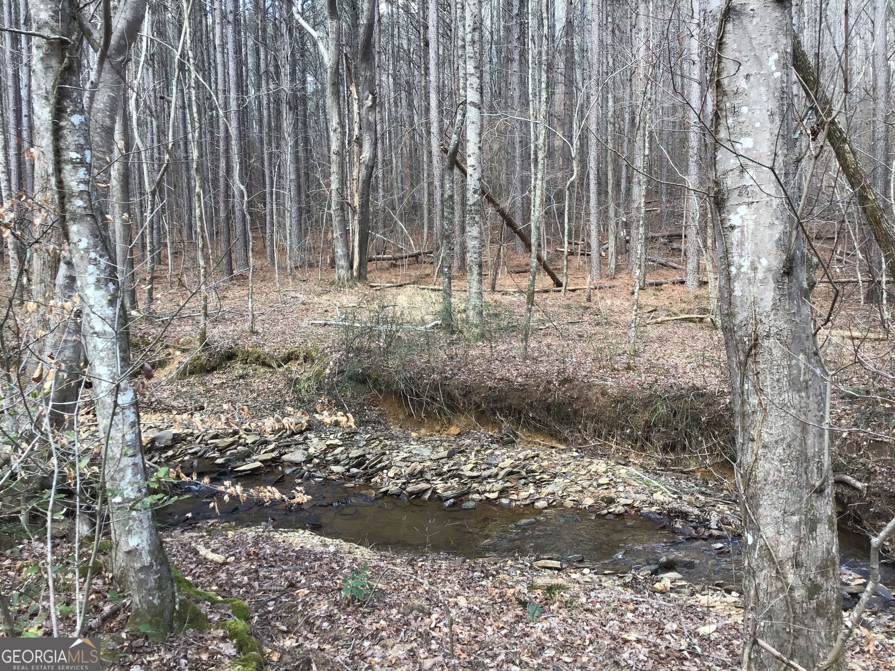 0 Johnson Mountain Road, Unit 7402 Fairmount, GA 30139 - Photo 6 of 46 a view of under construction area