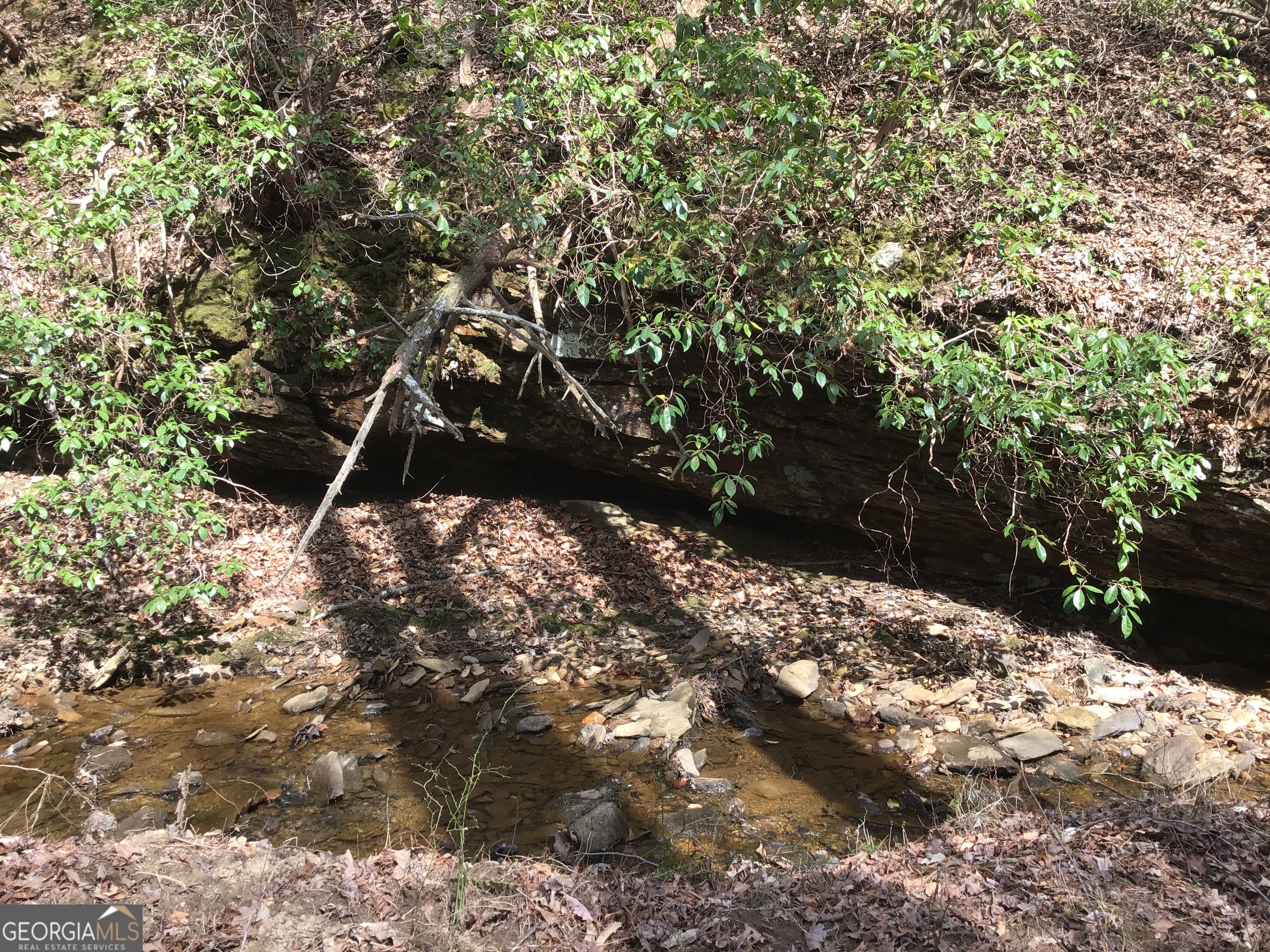 0 Johnson Mountain Road, Unit 7402 Fairmount, GA 30139 - Photo 7 of 46 a view of a tree