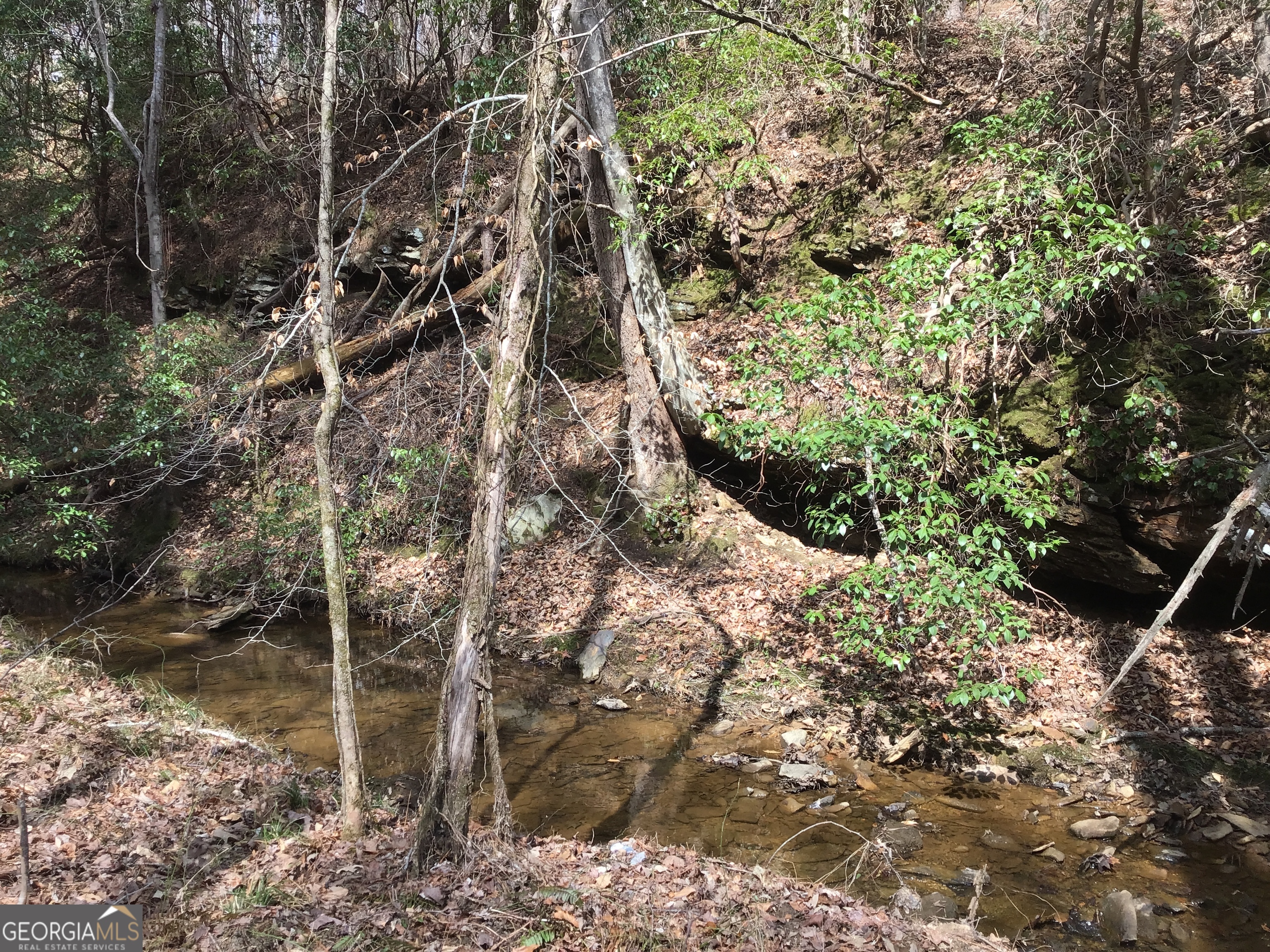 0 Johnson Mountain Road, Unit 7402 Fairmount, GA 30139 - Photo 8 of 46 a backyard of a house