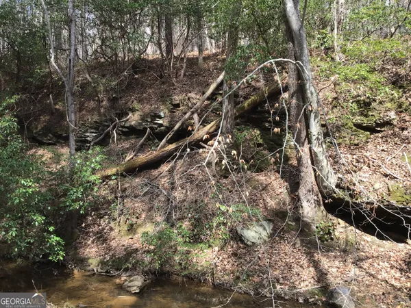 $4,164,160 | 0 Johnson Mountain Road, Unit 7402, Fairmount, GA 30139