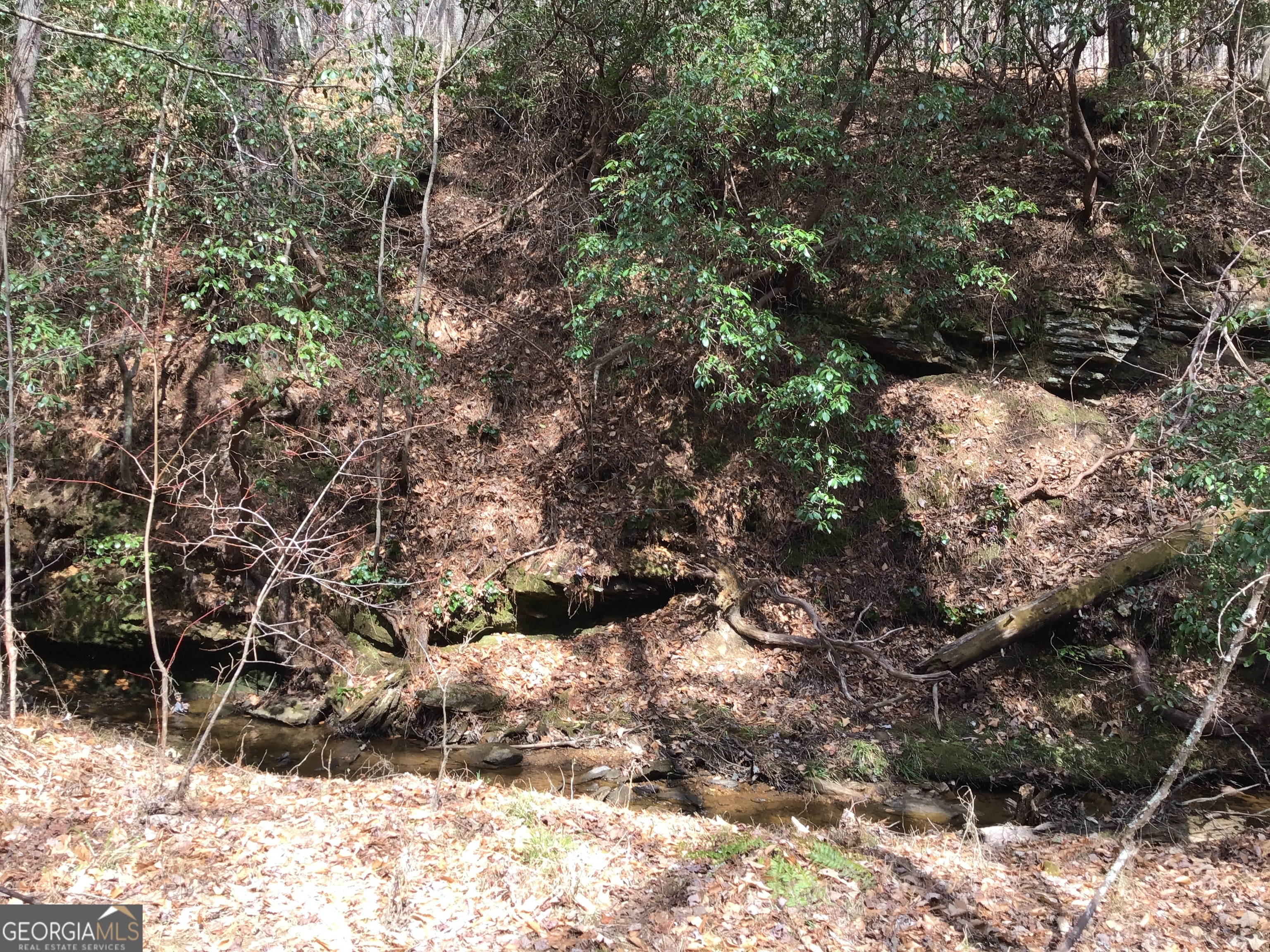 0 Johnson Mountain Road, Unit 7402 Fairmount, GA 30139 - Photo 10 of 46 a view of a yard covered in snow