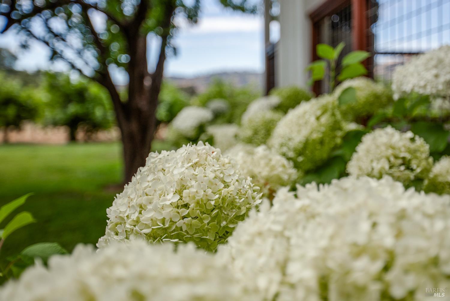 6476 Red Winery Road Geyserville, CA 95441 - Photo 32 of 40