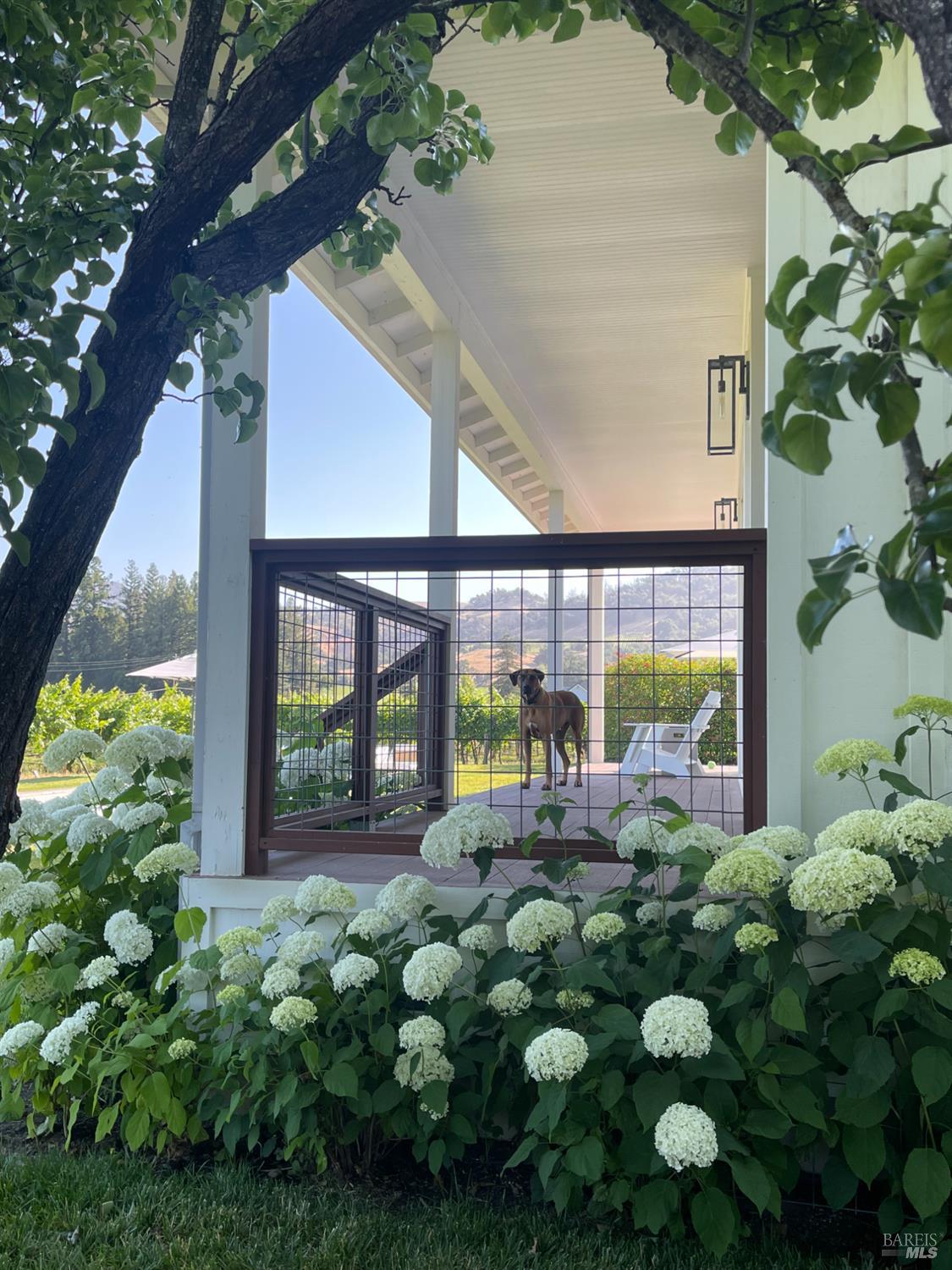 6476 Red Winery Road Geyserville, CA 95441 - Photo 41 of 54