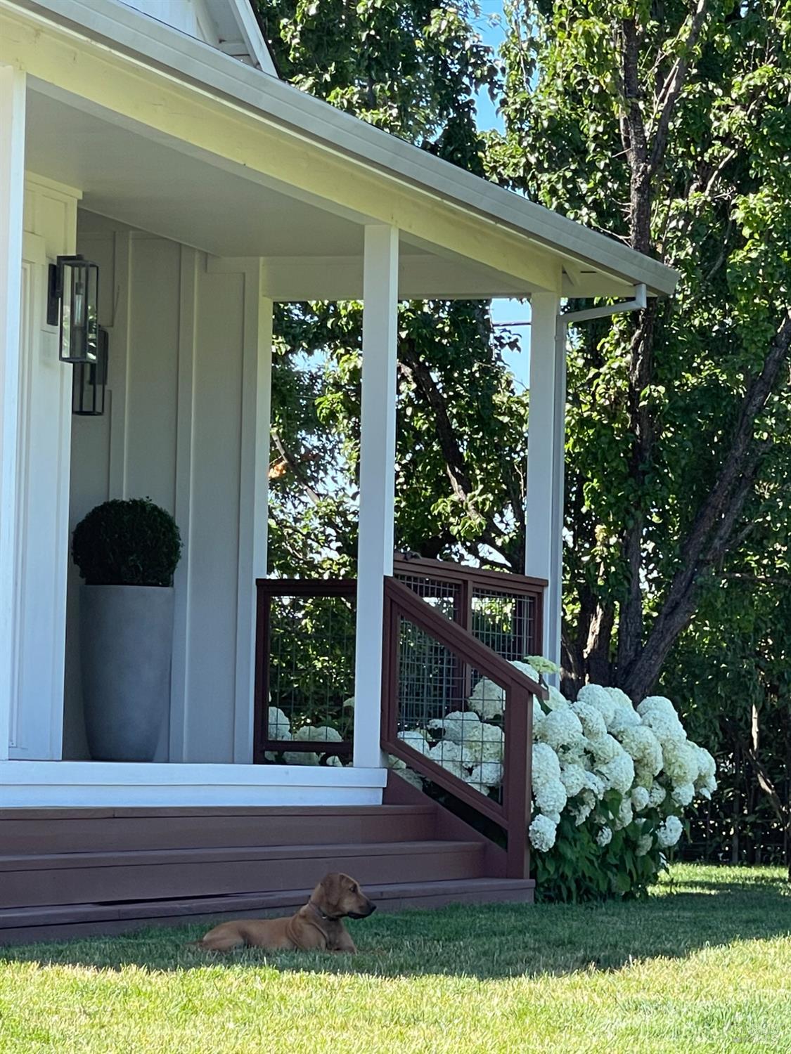 6476 Red Winery Road Geyserville, CA 95441 - Photo 42 of 54