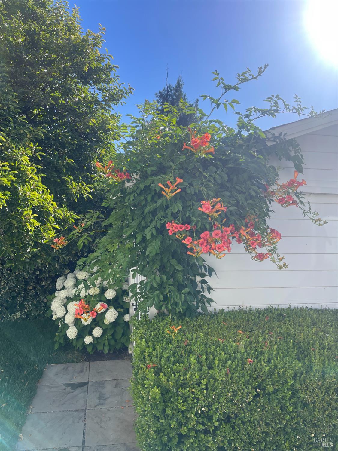 6476 Red Winery Road Geyserville, CA 95441 - Photo 44 of 54