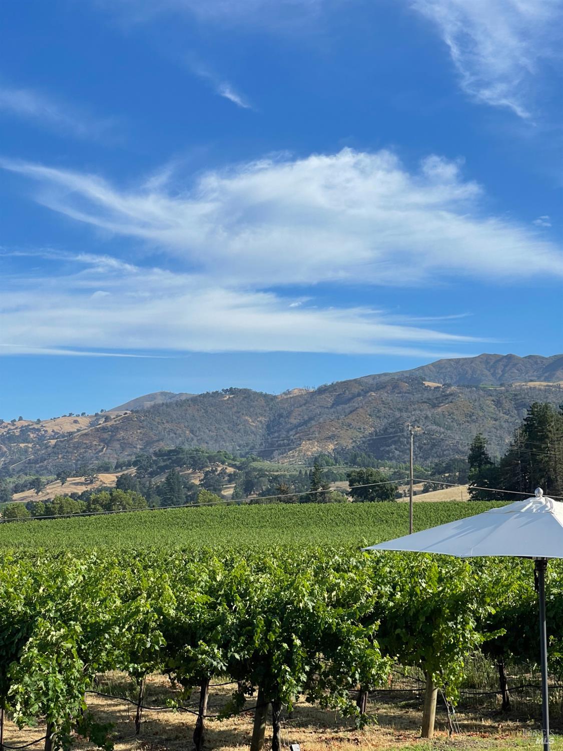 6476 Red Winery Road Geyserville, CA 95441 - Photo 45 of 54