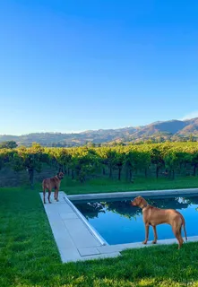 $3,650,000 | 6476 Red Winery Road, Geyserville, CA 95441