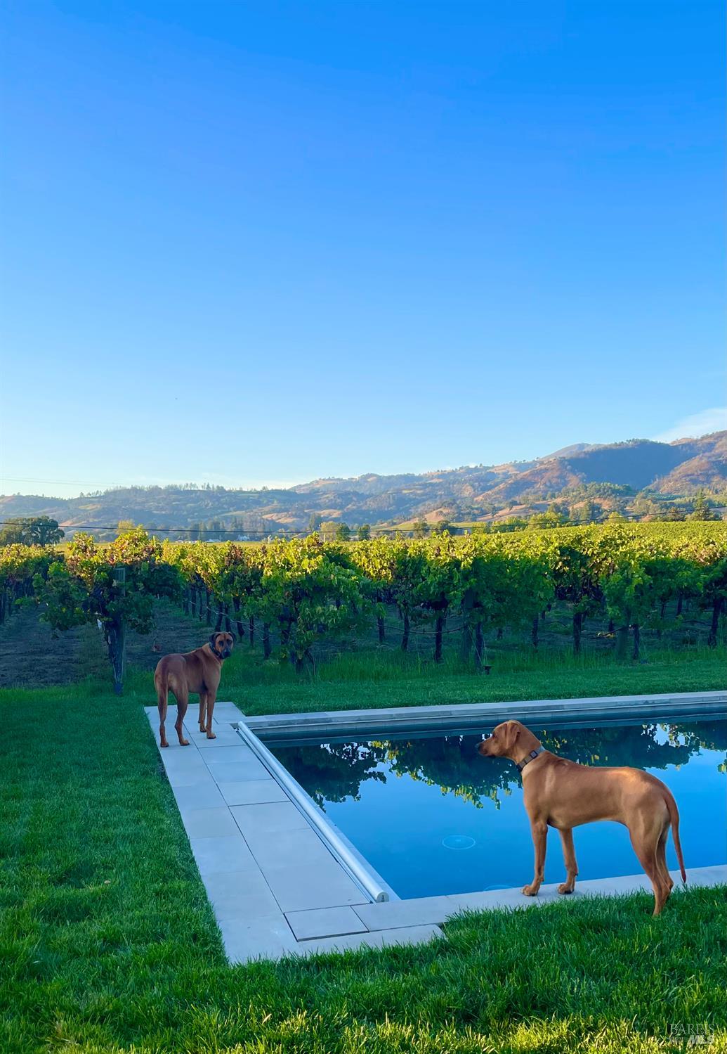 6476 Red Winery Road Geyserville, CA 95441 - Photo 49 of 54