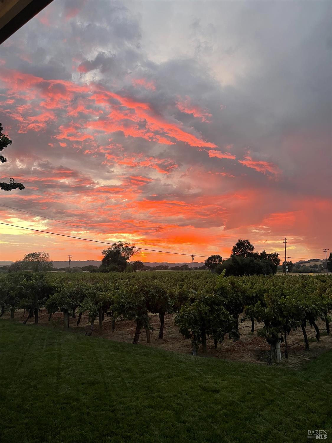 6476 Red Winery Road Geyserville, CA 95441 - Photo 52 of 54