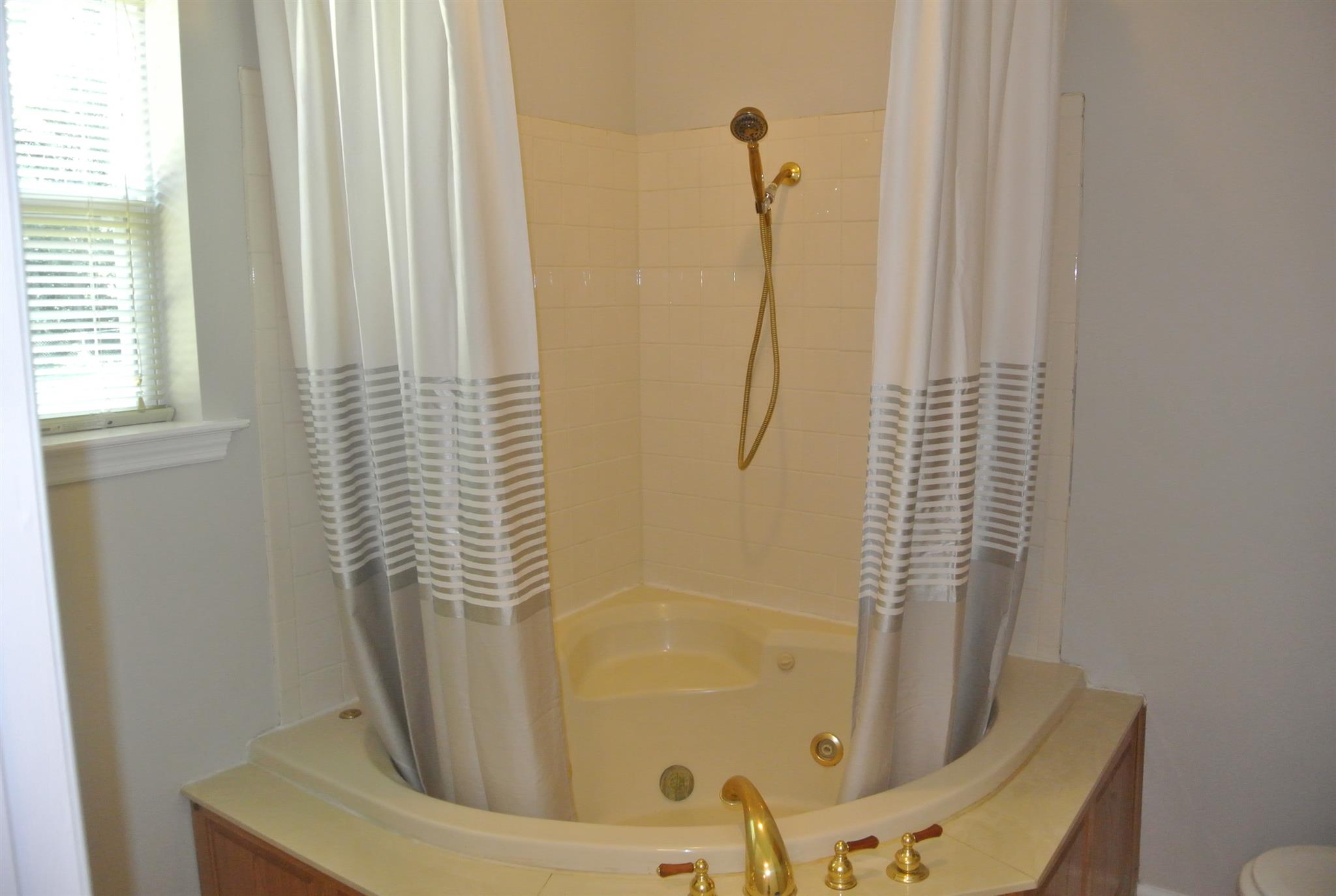 923 Emilee Point Gallatin, TN 37066 - Photo 23 of 30 Jacuzzi with Shower for Master