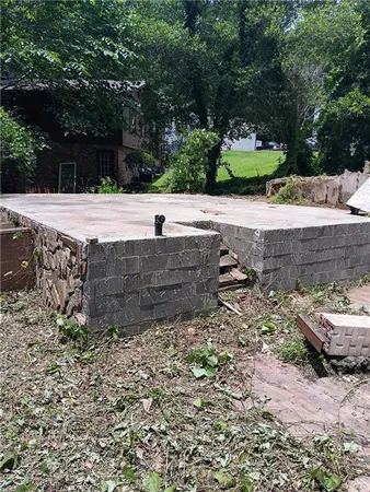 a close up of a plant in a field
