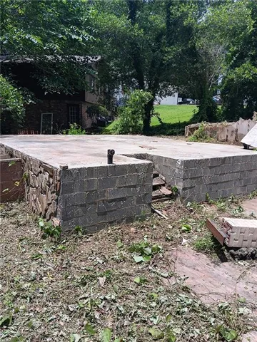 a close up of a plant in a field