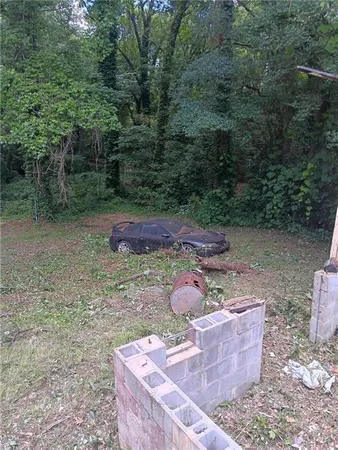 a view of a yard with large trees
