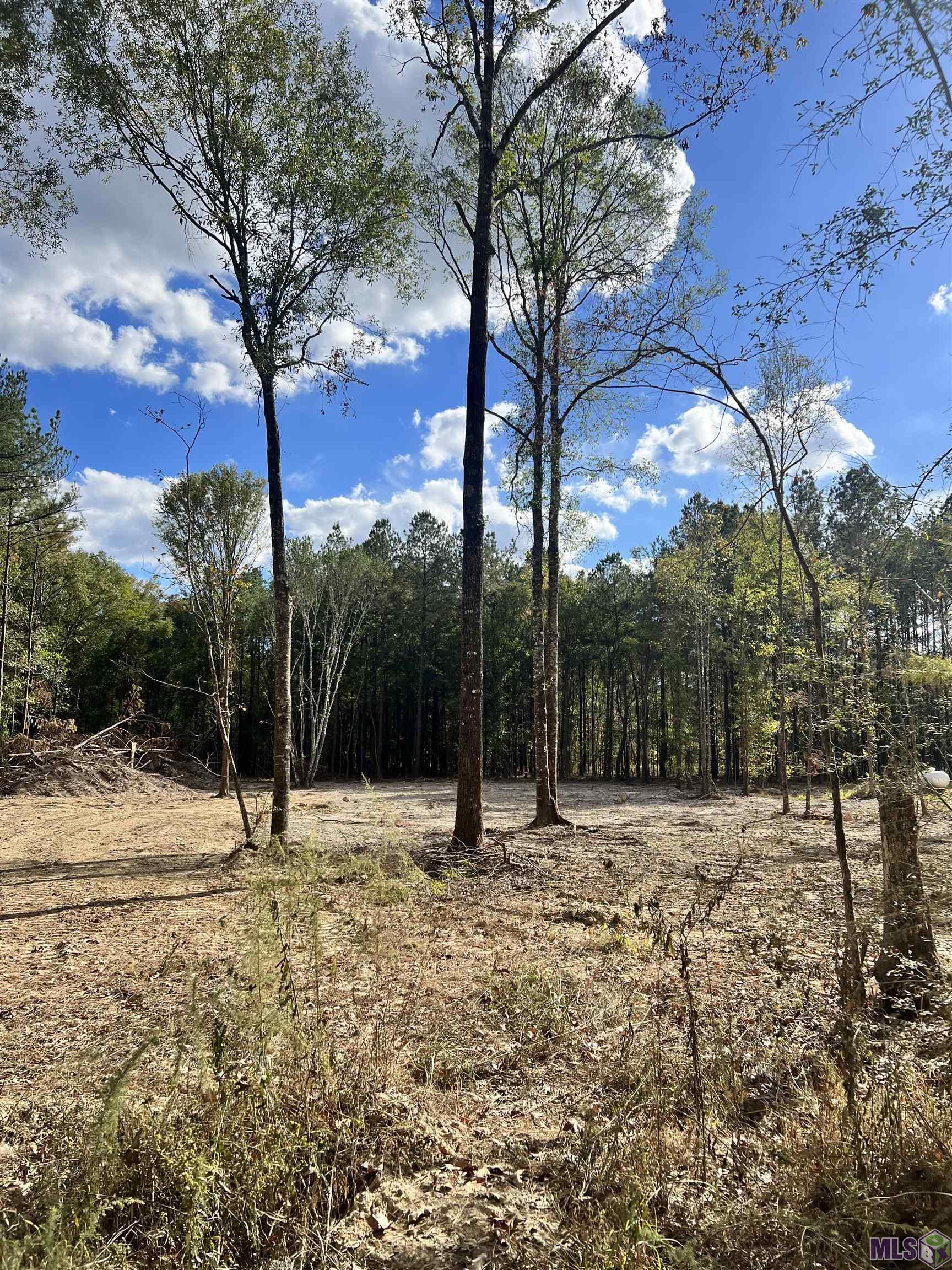 Lot 53 Nesom Road Denham Springs, LA 70706 - Photo 2 of 10