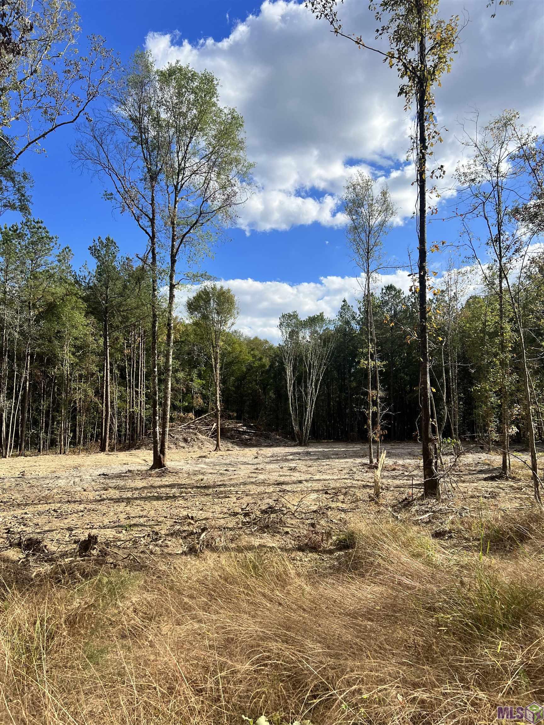 Lot 53 Nesom Road Denham Springs, LA 70706 - Photo 3 of 10