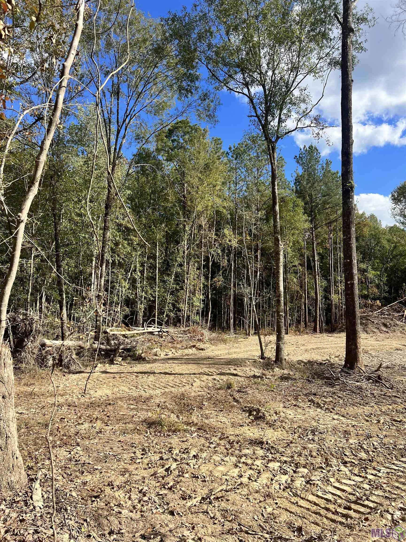 Lot 53 Nesom Road Denham Springs, LA 70706 - Photo 5 of 10