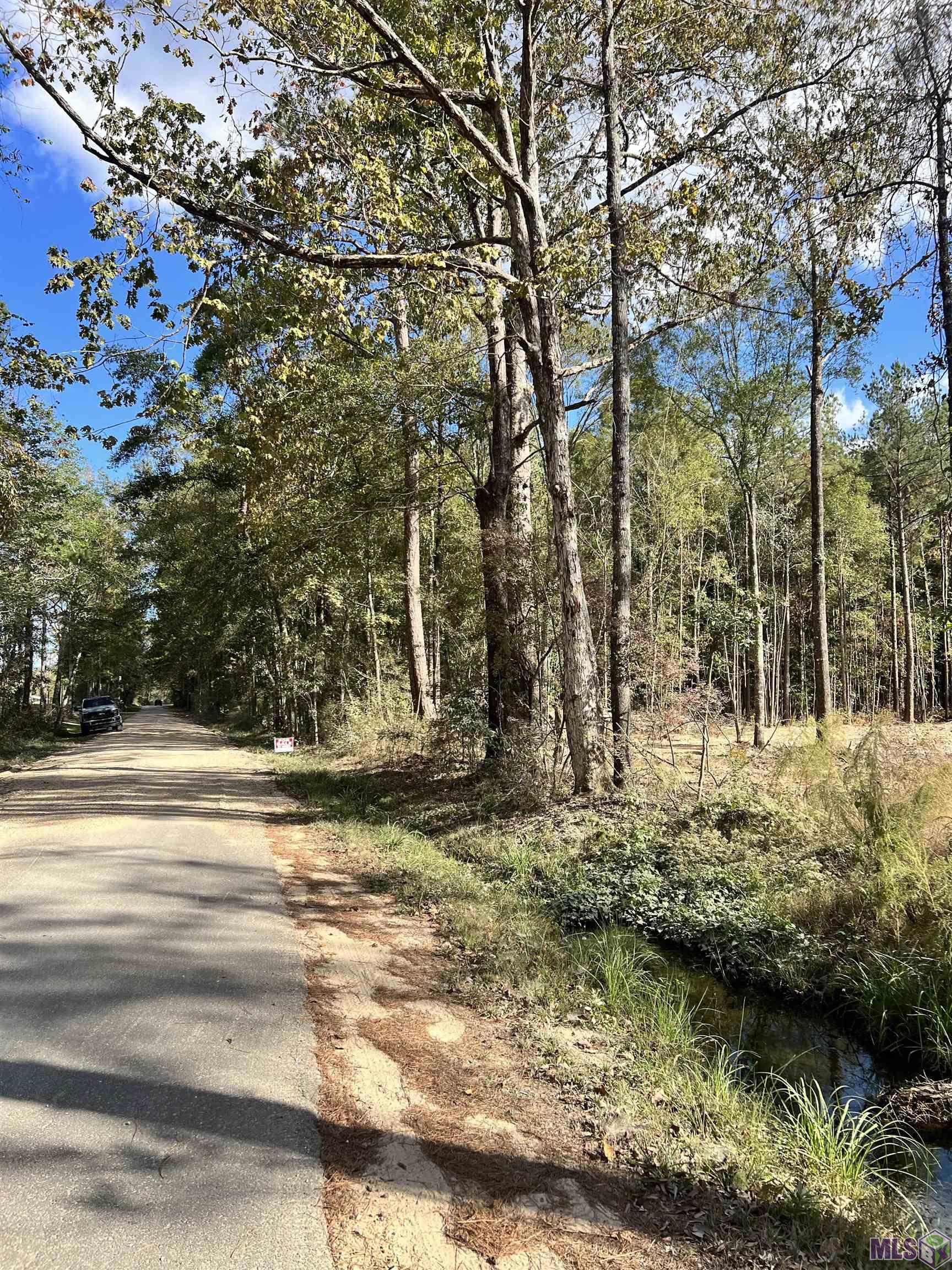 Lot 53 Nesom Road Denham Springs, LA 70706 - Photo 10 of 10