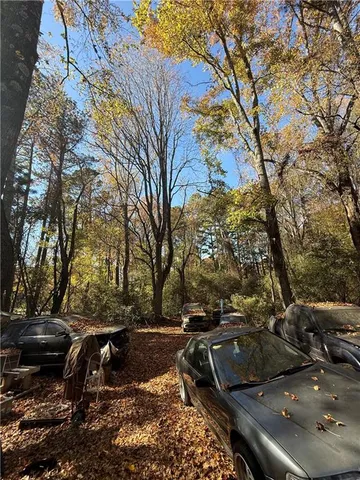 a view of a yard with plants and trees