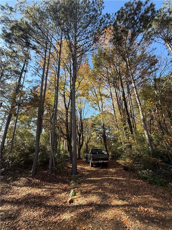 6387 Bells Ferry Road Acworth, GA 30102 - Photo 9 of 28 a view of road with covered with trees