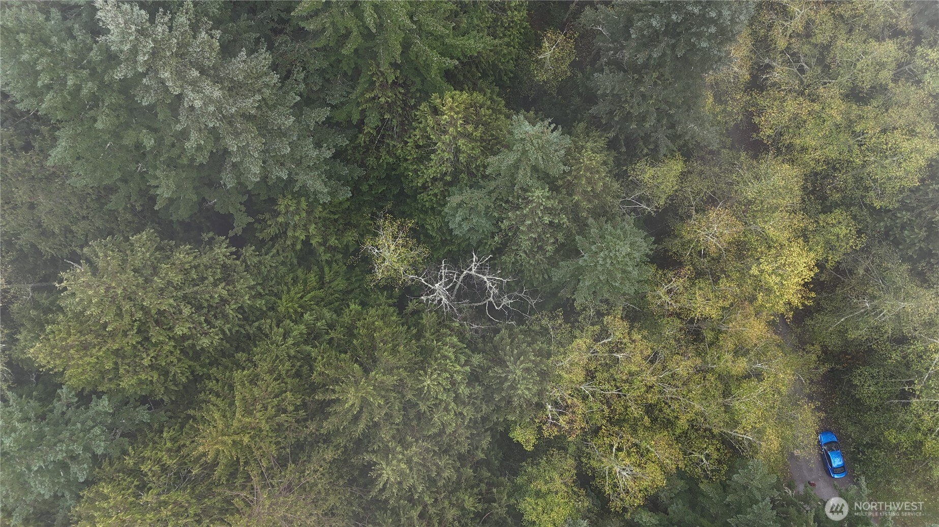 -xxx Jewett Road Clinton, WA 98236 - Photo 7 of 14