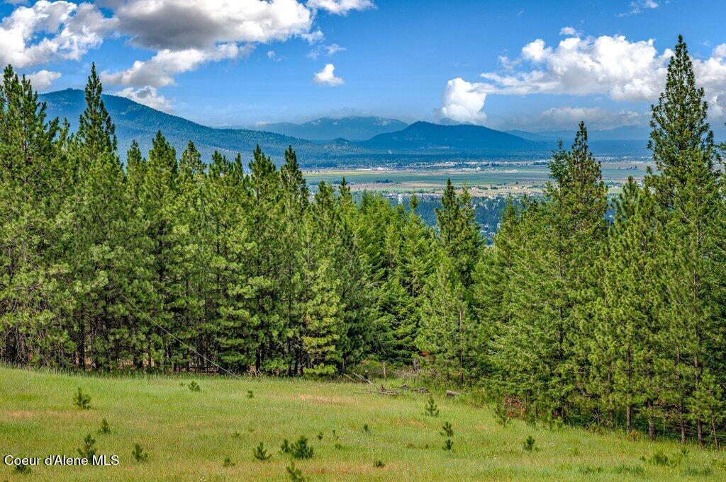 3018 South Signal Point Road Post Falls, ID 83854 - Photo 75 of 117 Pasture