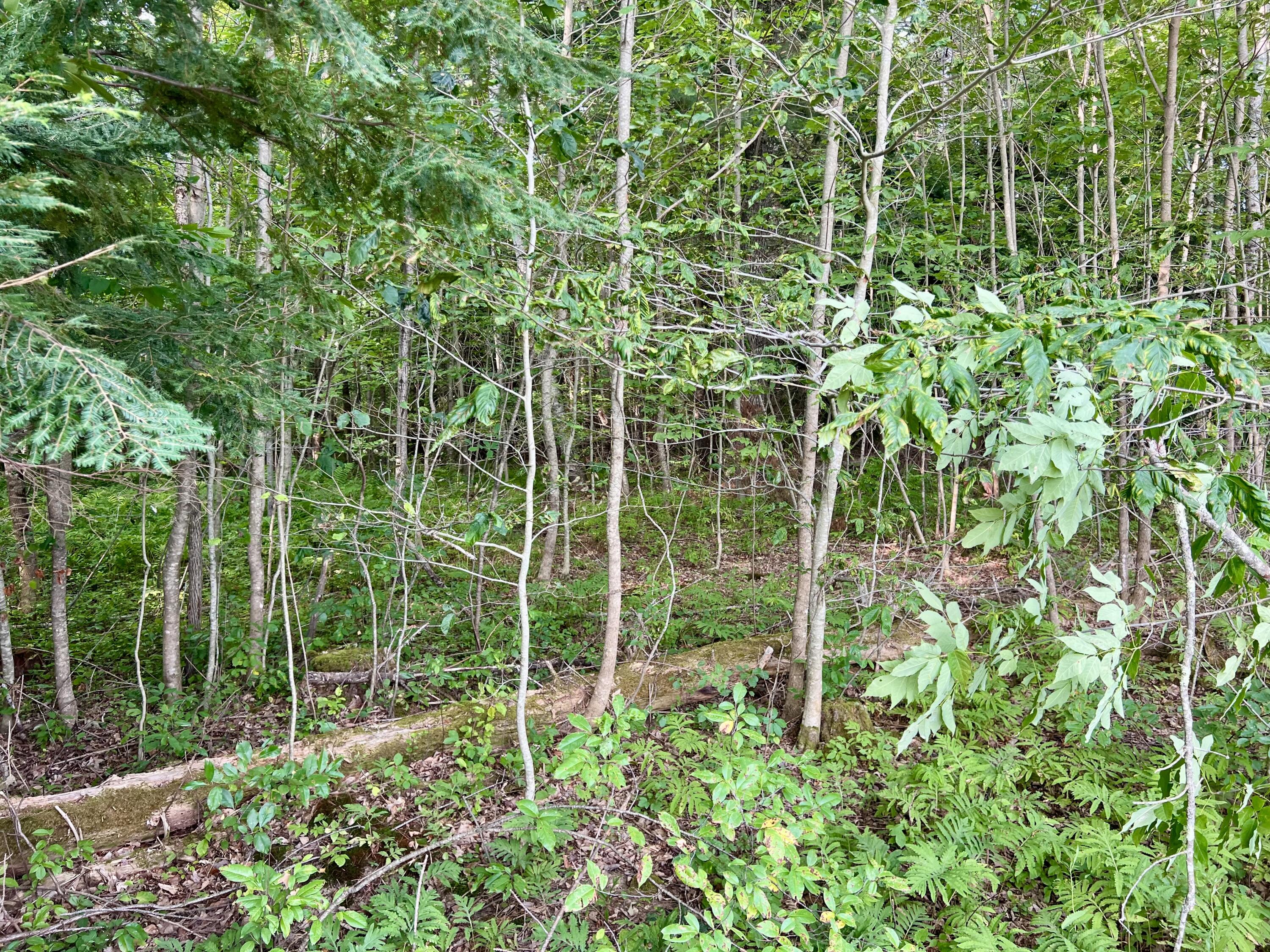 55 Brooks Road Thorndike, ME 04986 - Photo 2 of 9 IMG_5867