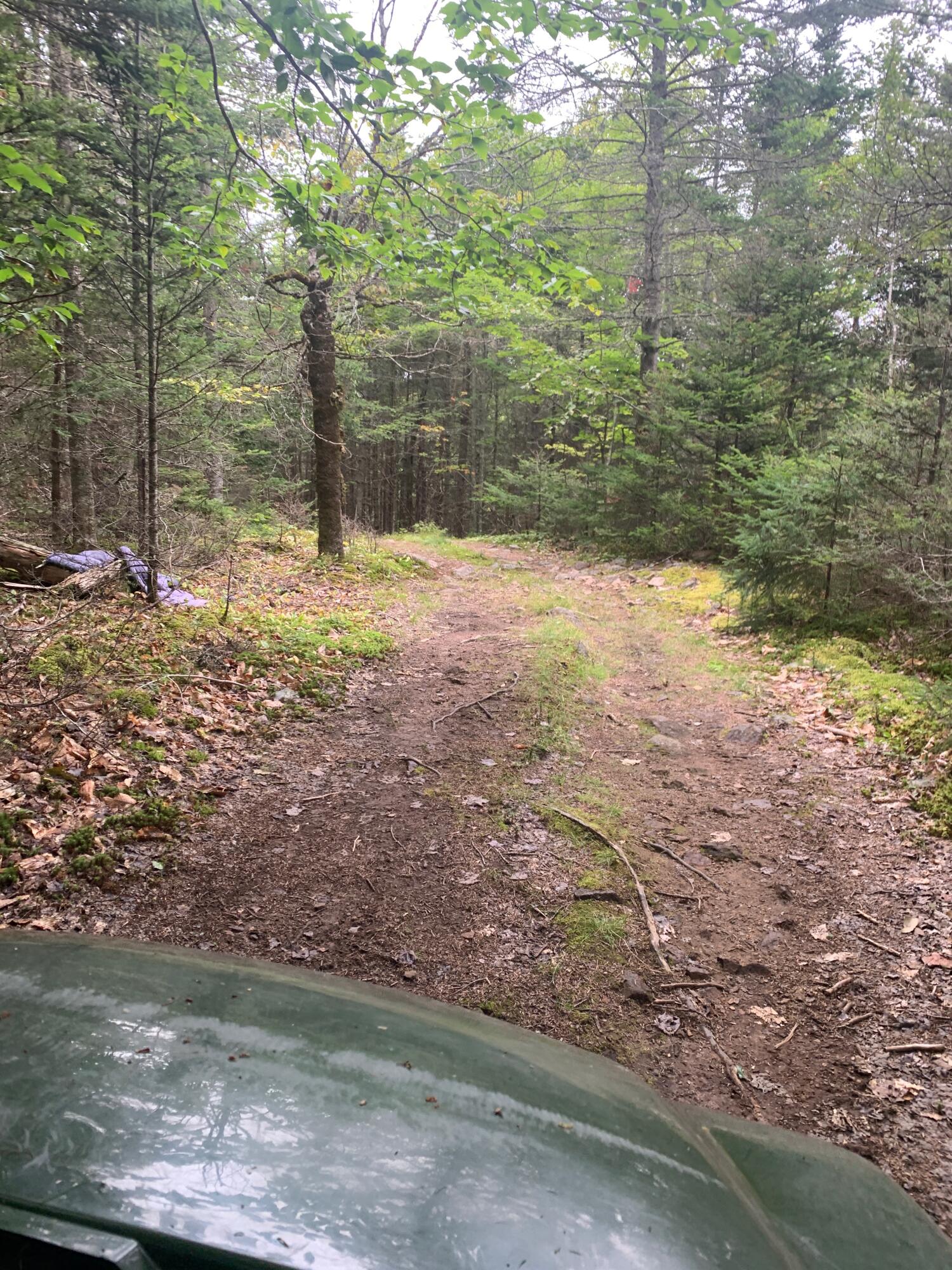 Lot 14 Off Steam Mill Road Robbinston, ME 04671 - Photo 58 of 67 IMG_2270